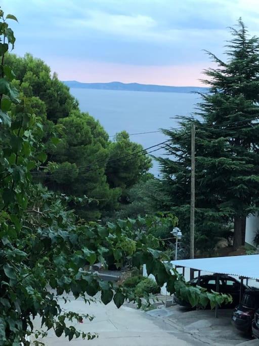 T4 IDEAL FAMILLE 6PERS /50m PLAGE/CANYELLES ROSES view 5