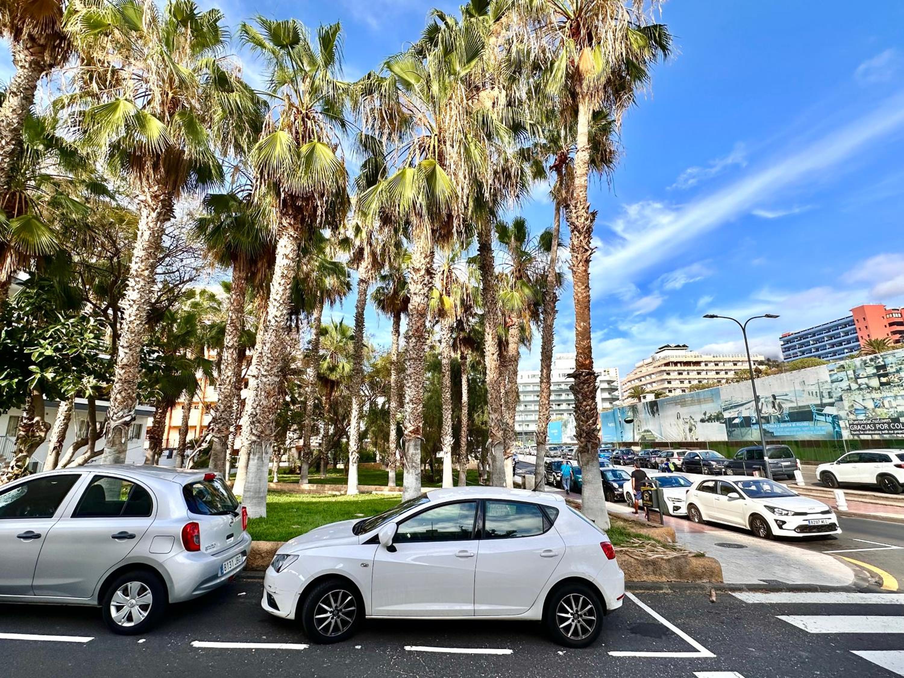 Modern and comfortable apartment - Center Puerto