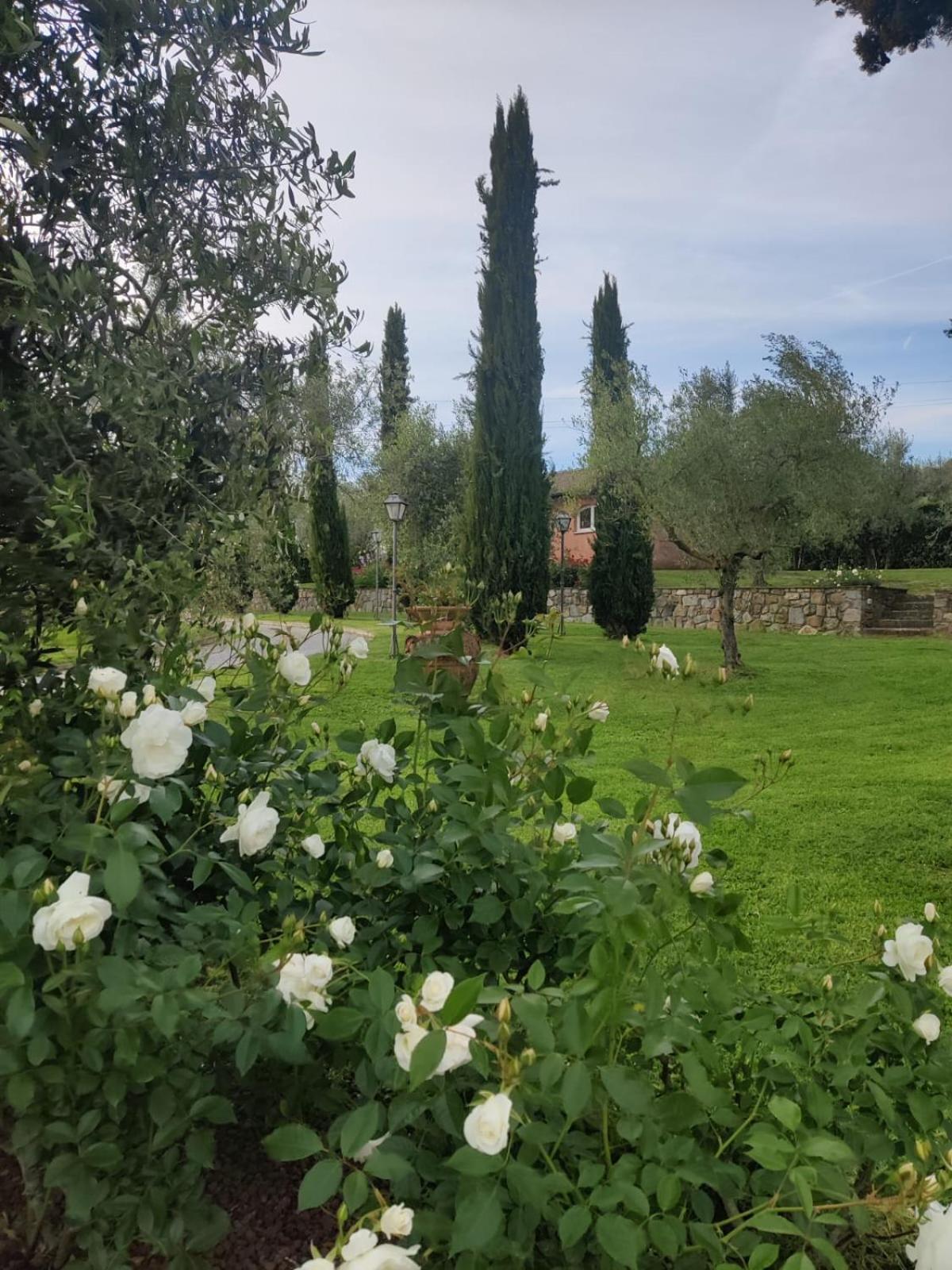 La Casa delle Rose view 3