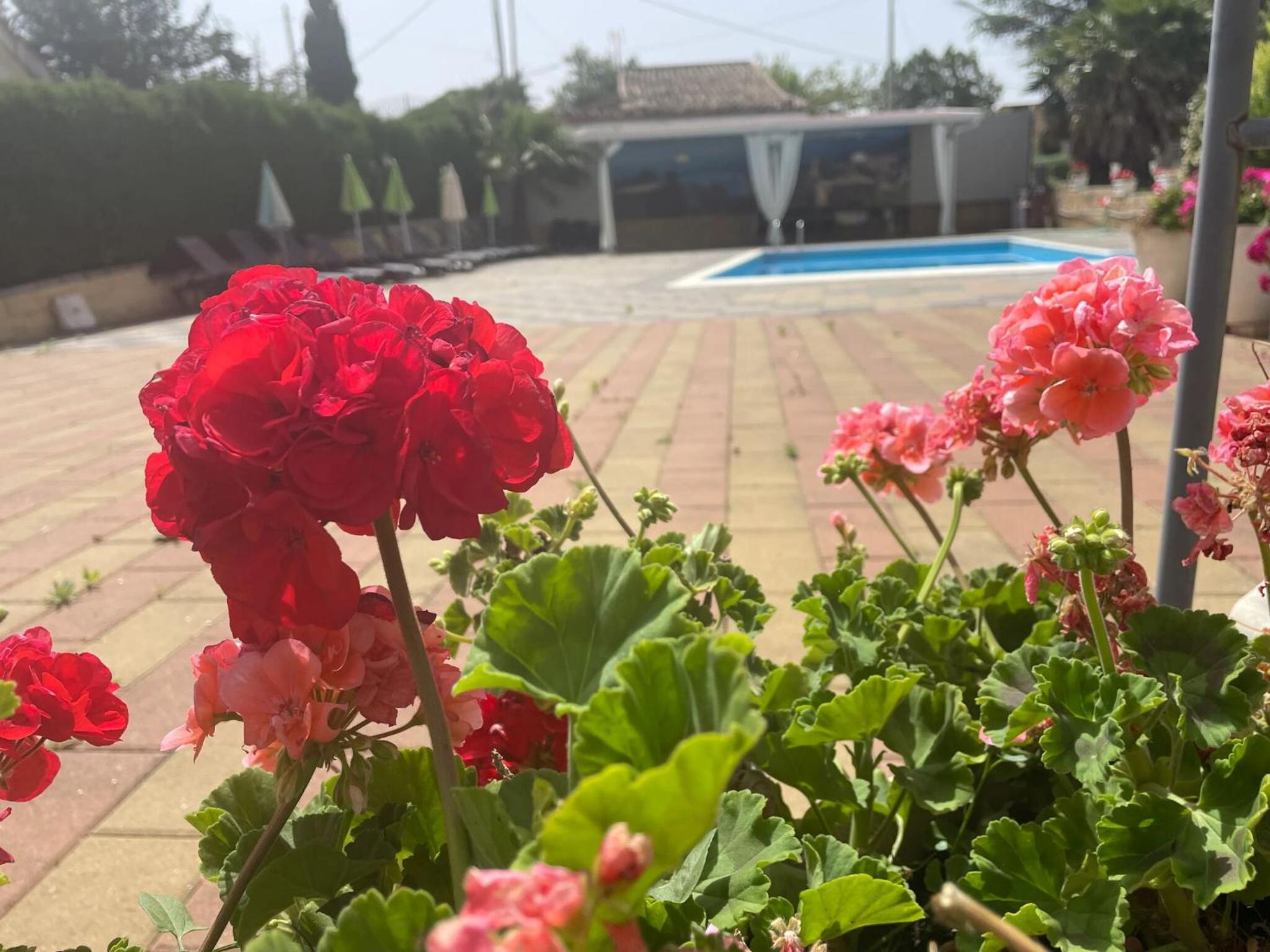 Refined Villa in Enna with Private Pool