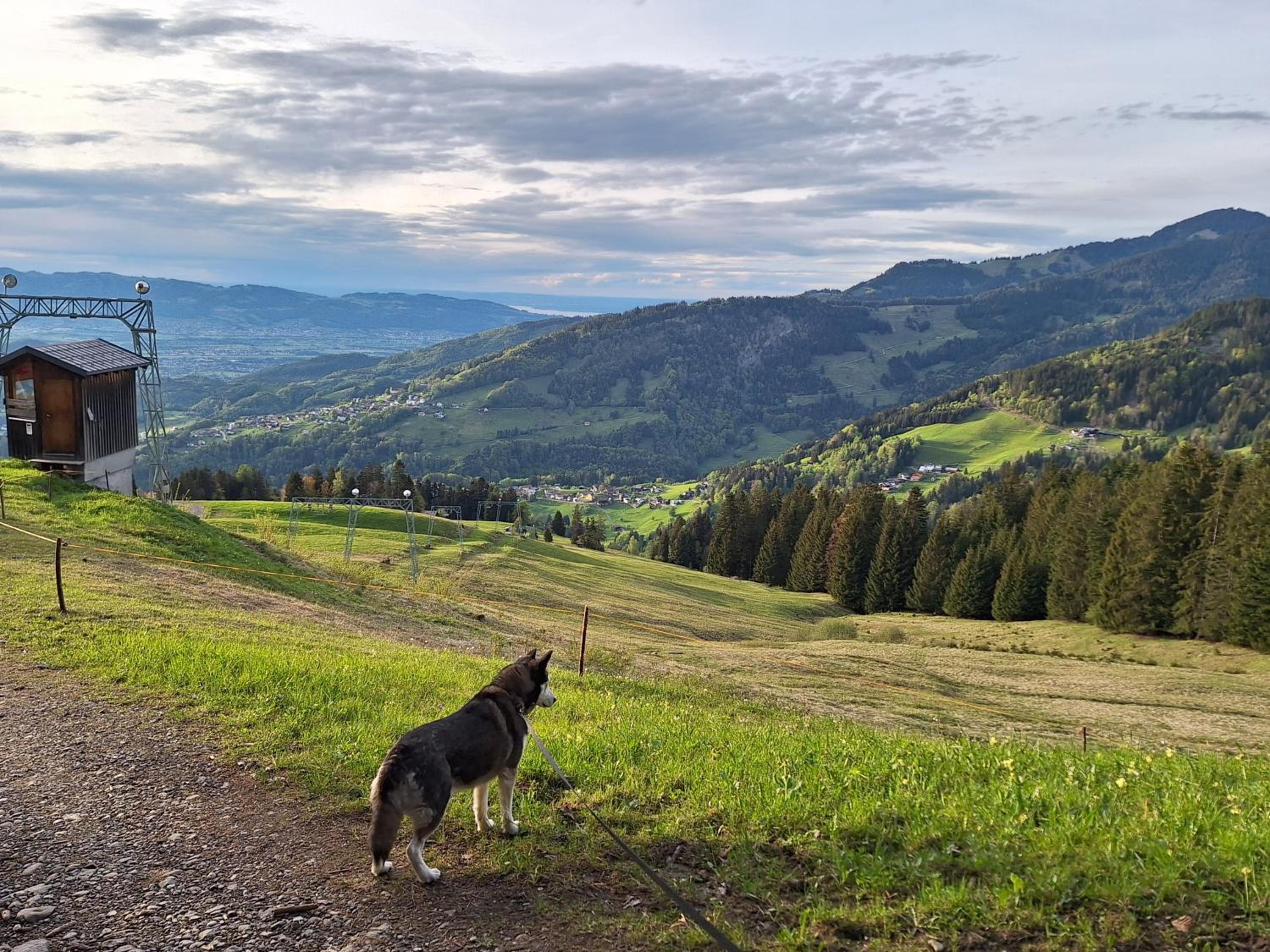 Wohnung Rheintal im Alpenvorland