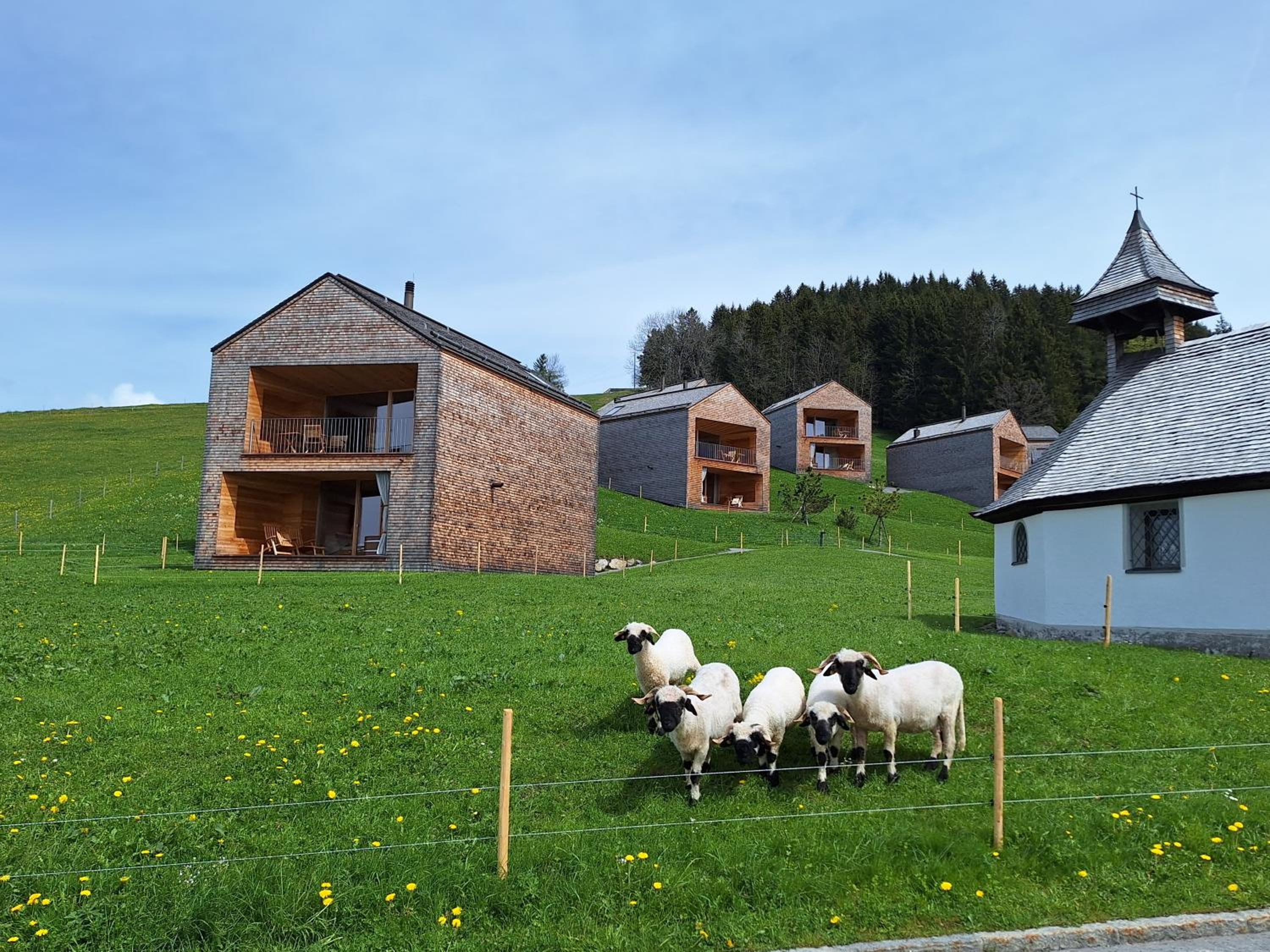 Wohnung Rheintal im Alpenvorland