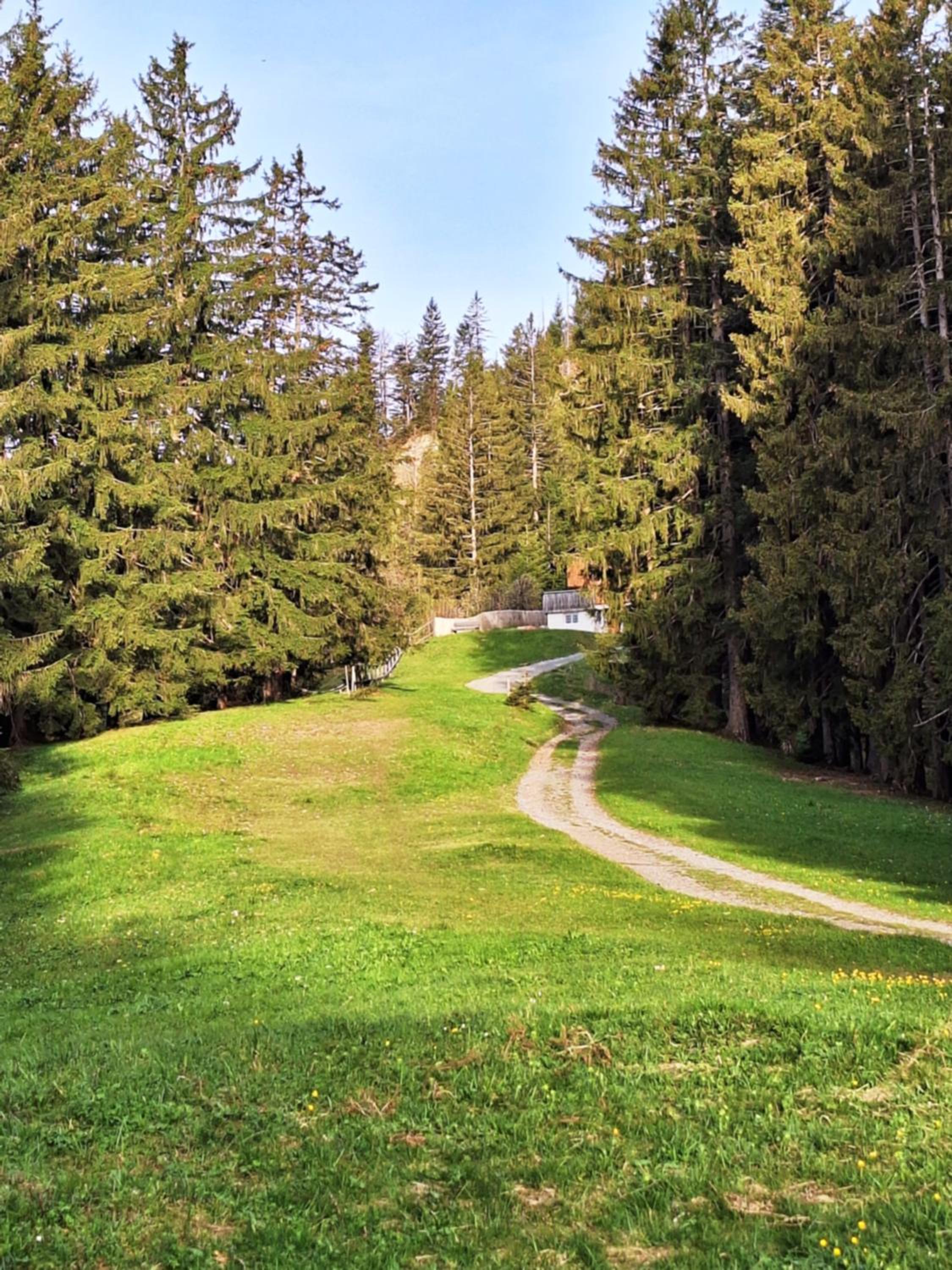 Wohnung Rheintal im Alpenvorland