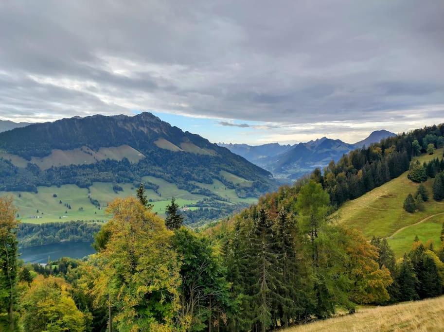 Studio -Zen in Nature-