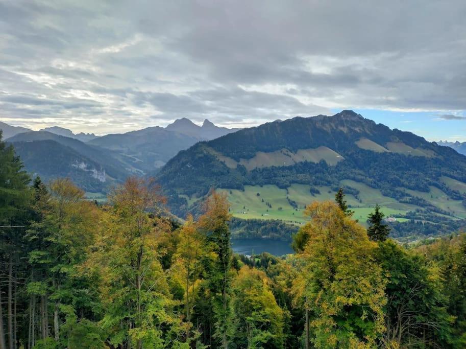 Studio -Zen in Nature-