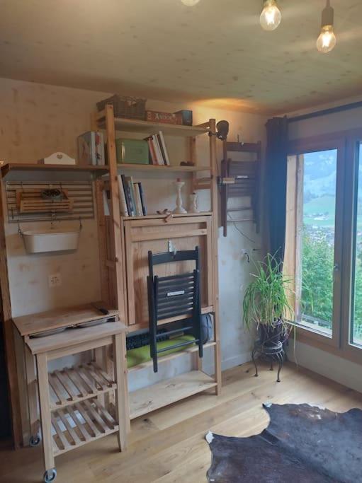 Studio -Zen in Nature-