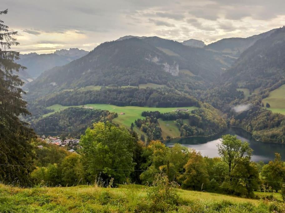 Studio -Zen in Nature-