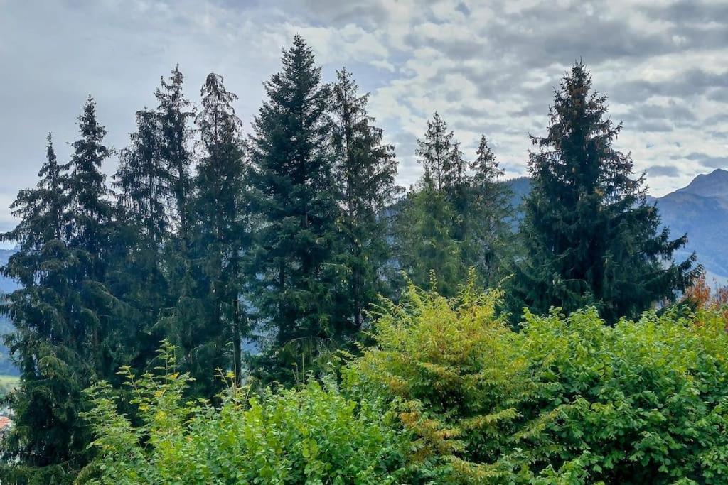 Studio -Zen in Nature-