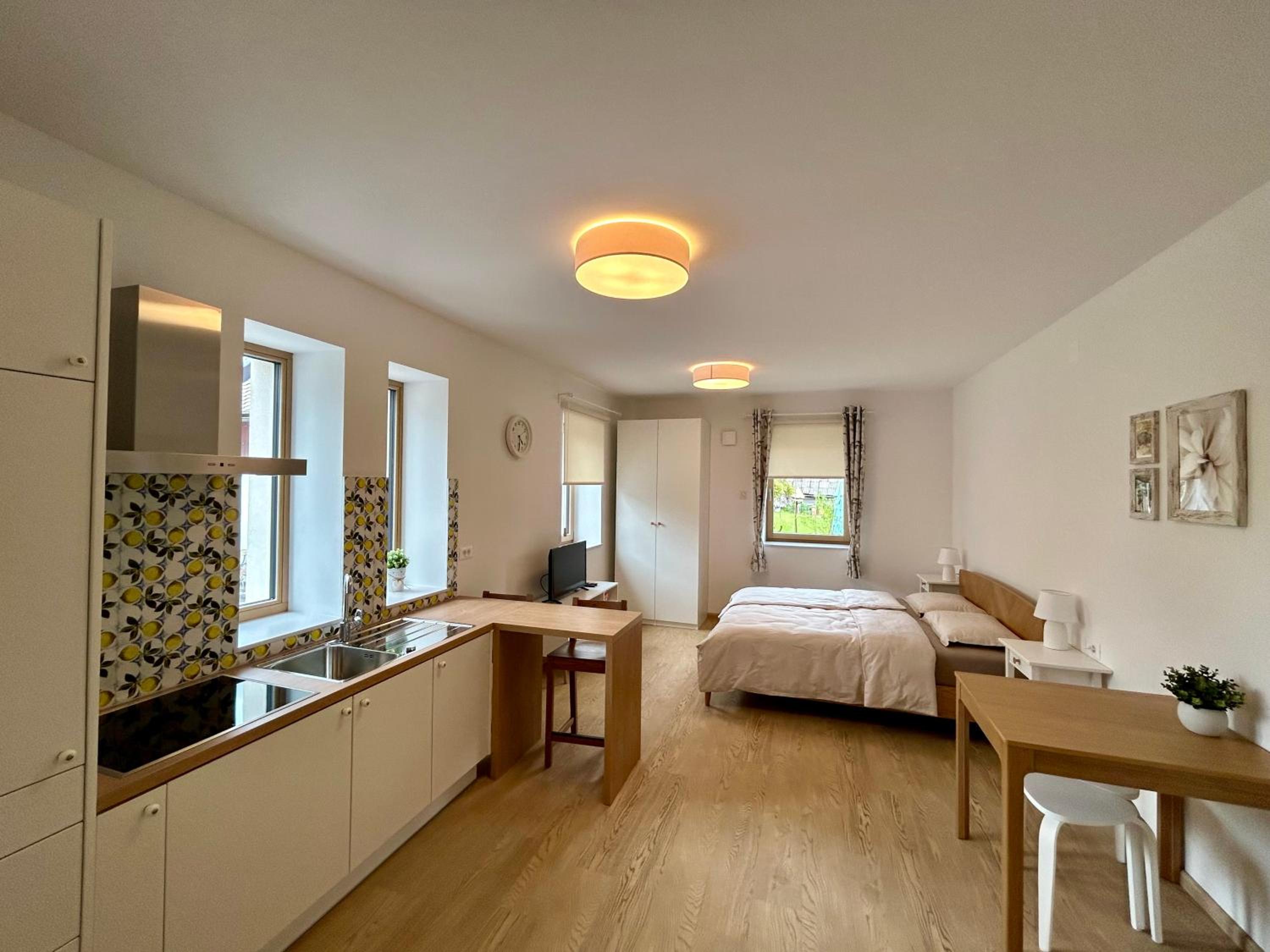 Apartment Gallus