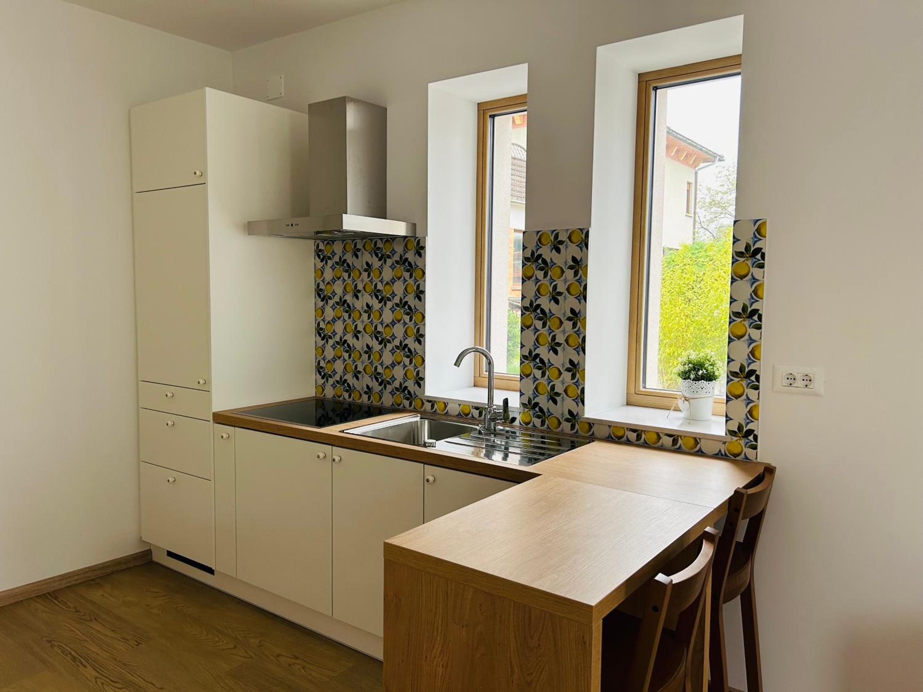 Apartment Gallus