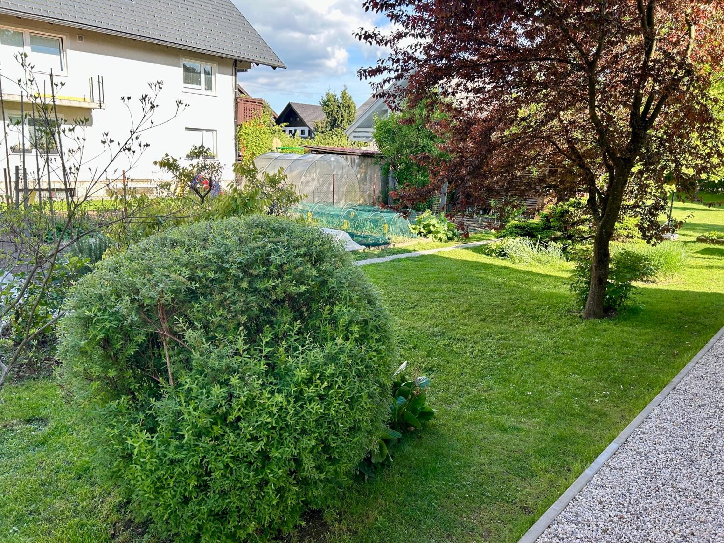 Apartment Gallus