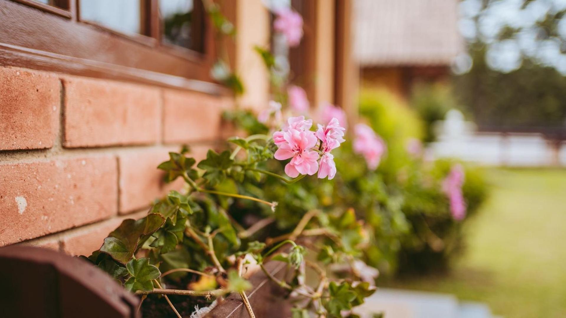 Chalé Florestal - Tranquility and comfort close to Horto Florestal