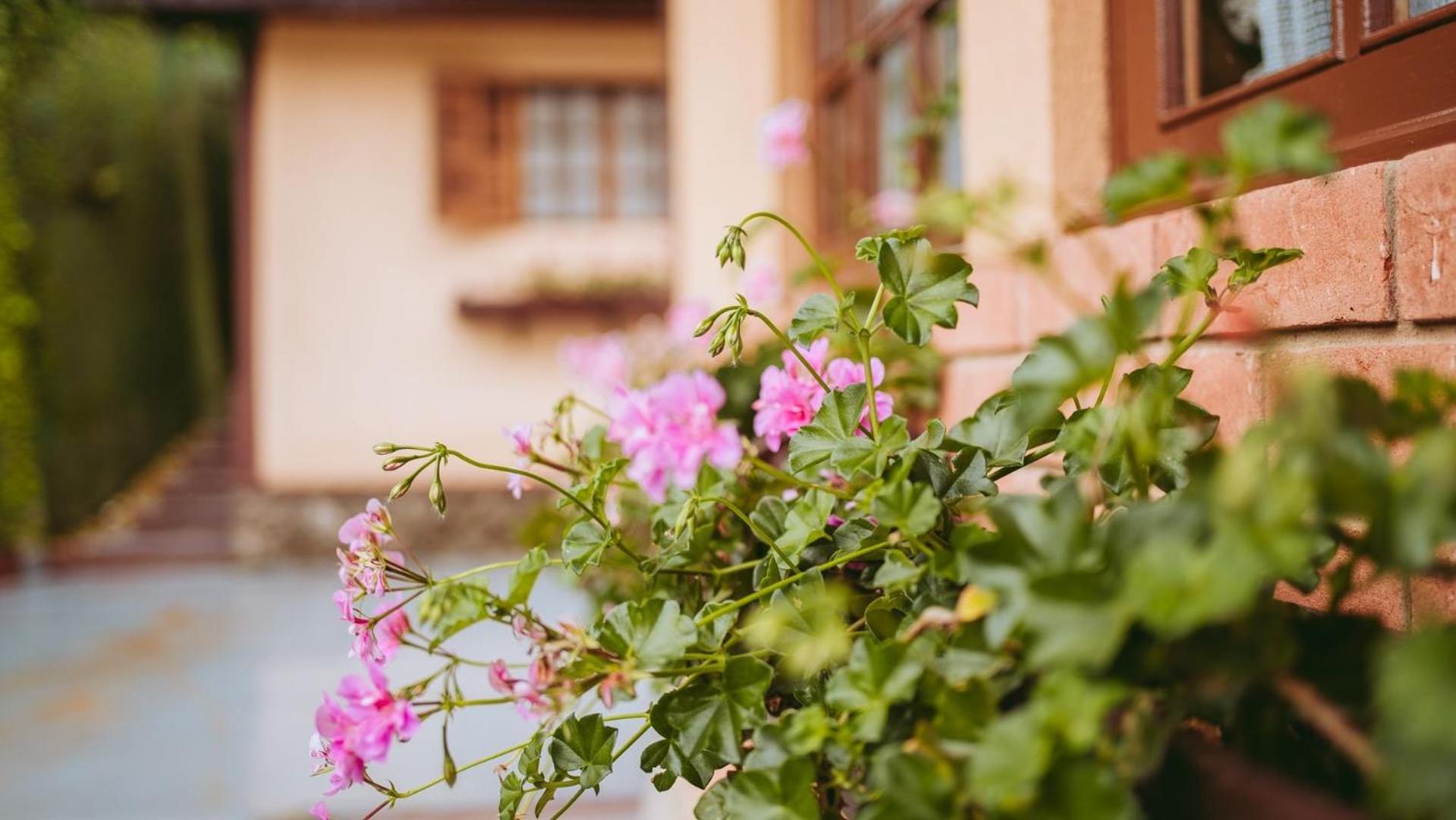 Chalé Florestal - Tranquility and comfort close to Horto Florestal