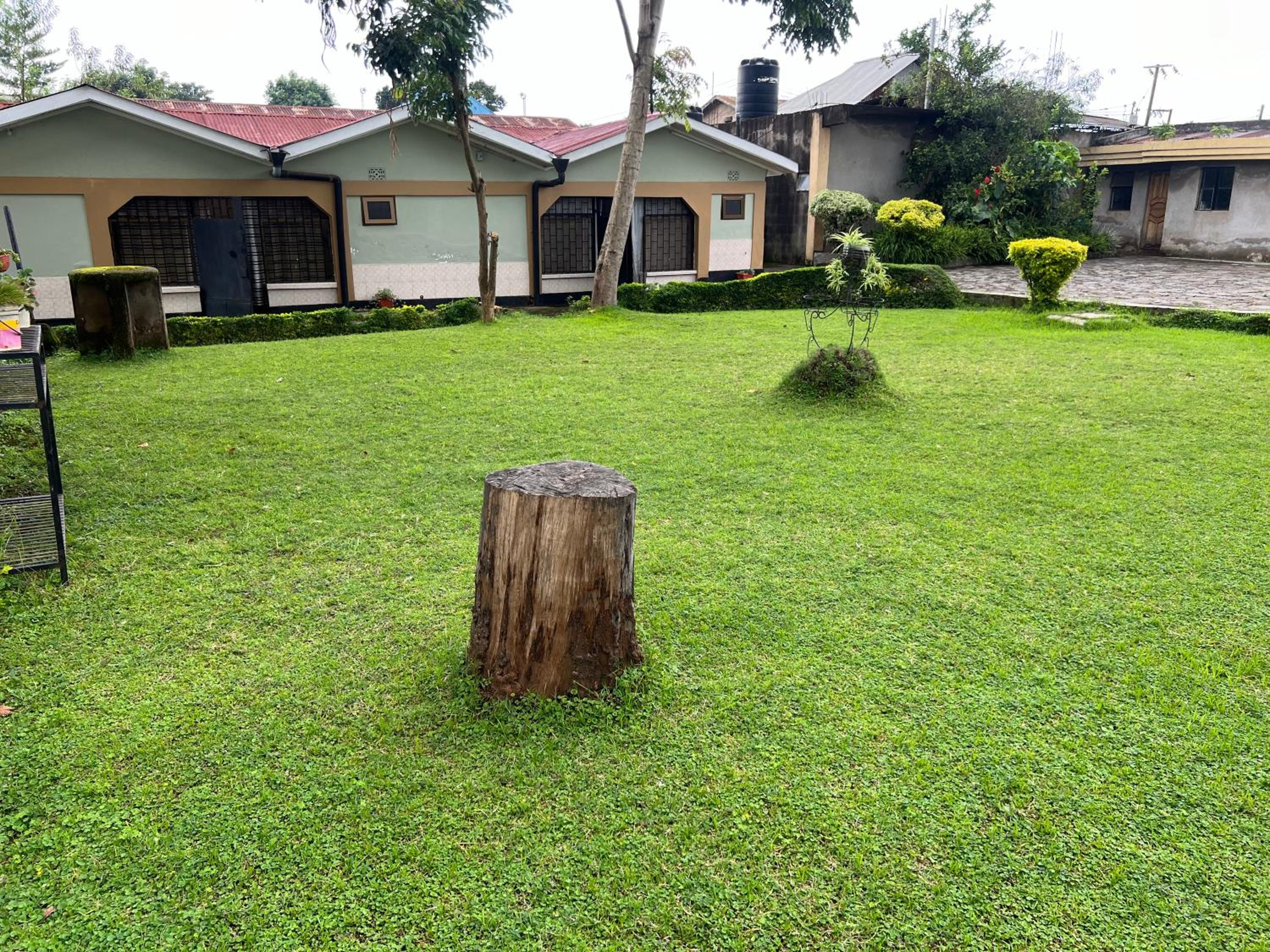 Photo 12