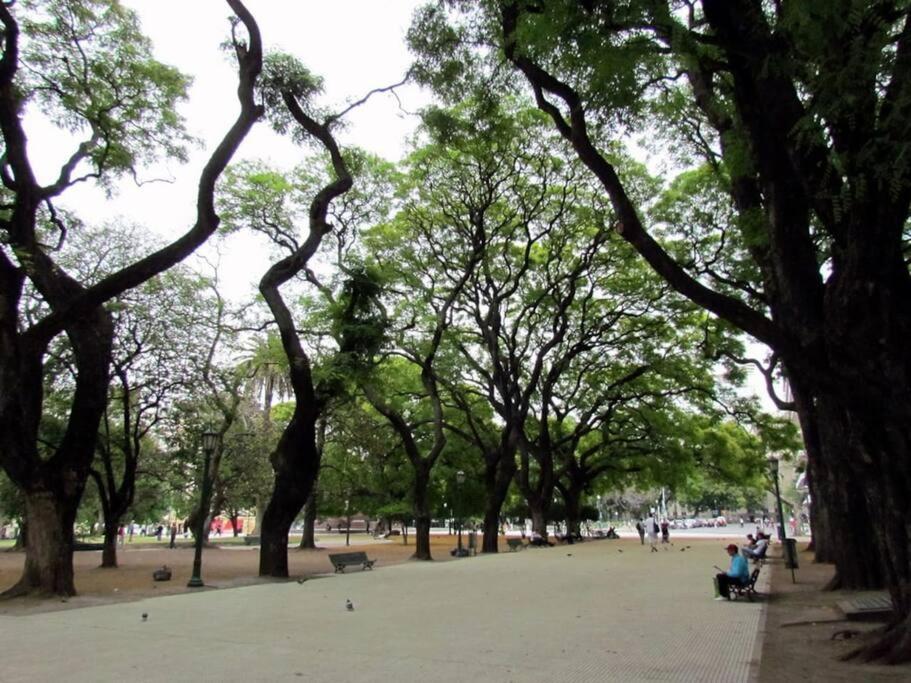 Super Luminous Great Location Plaza San Martin Retiro Centro