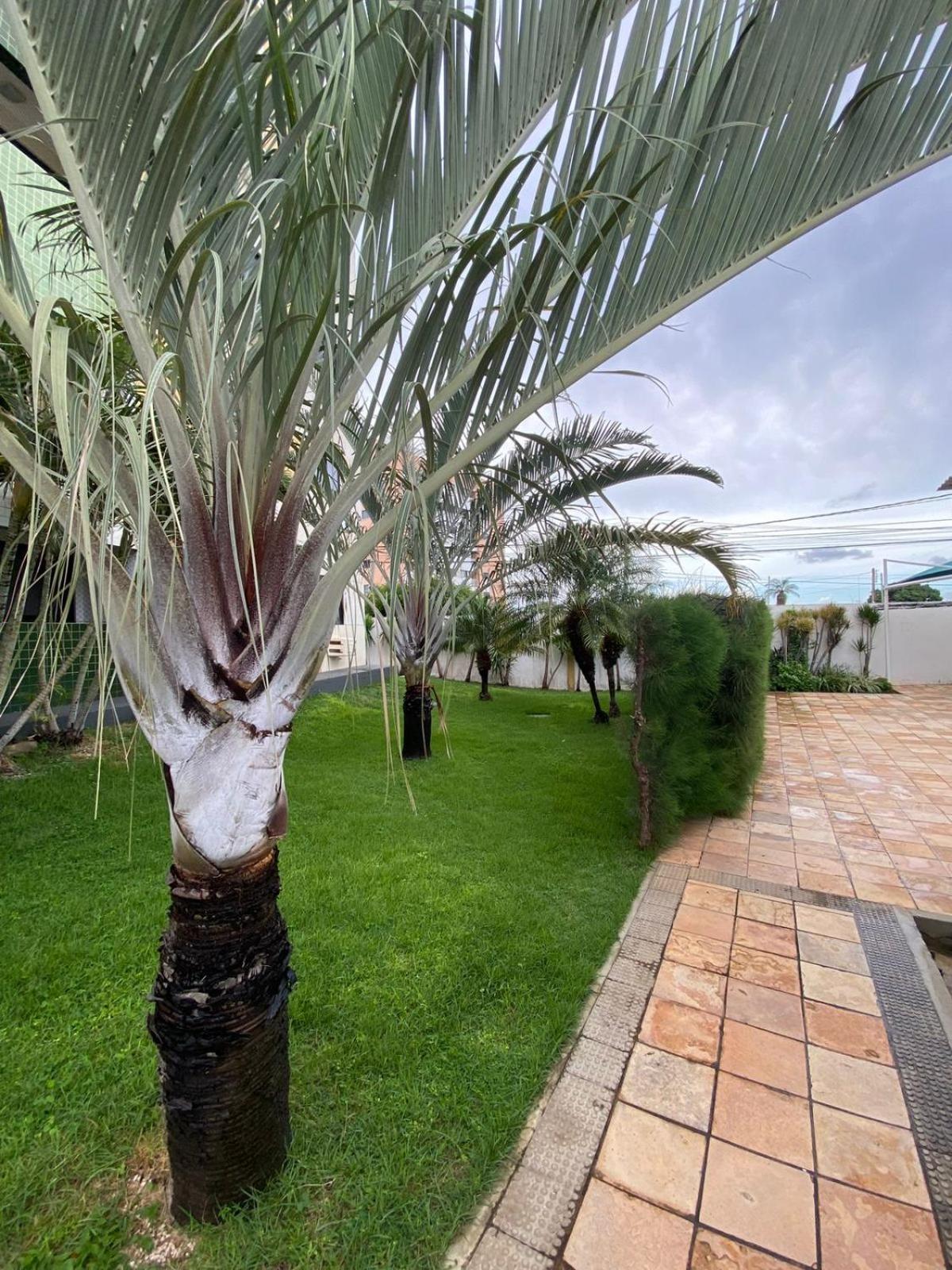 Apartamento em Mossoró com 2 quartos, piscina e garagem