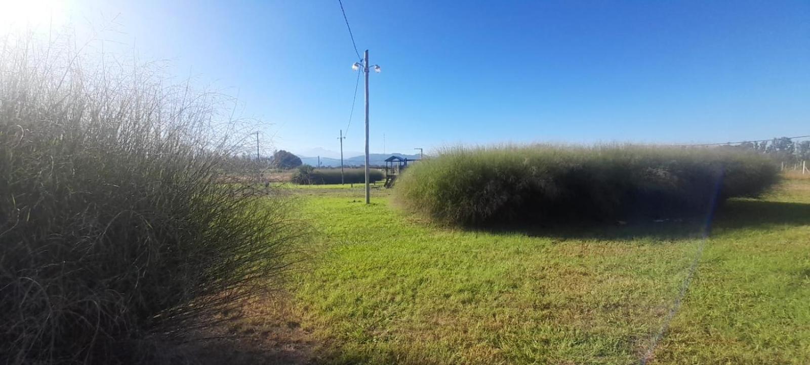 Rincon de Colón