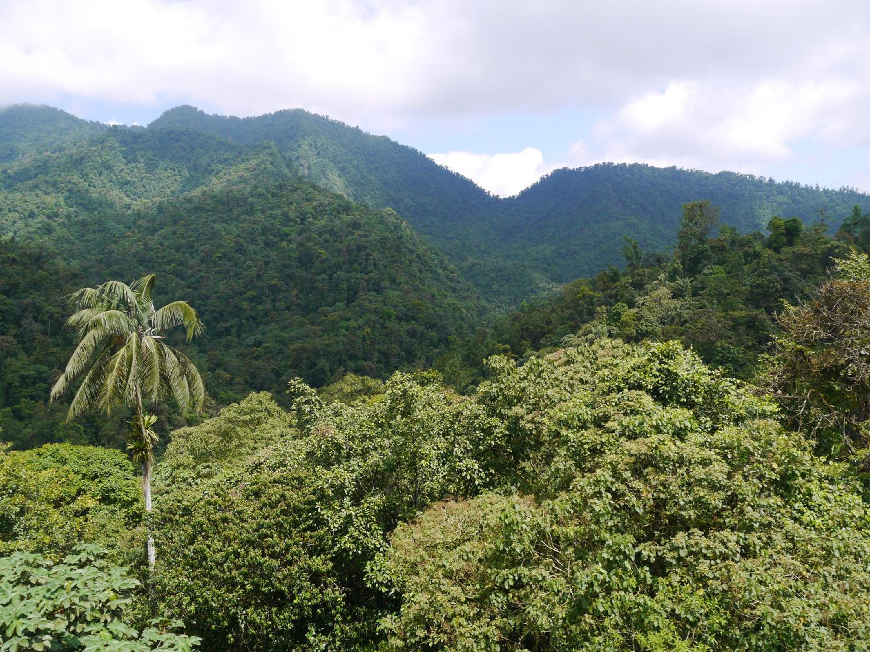 Casa Divina Eco Lodge