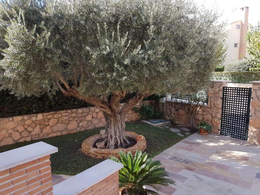 chalet & piscina-jardín-barbacoa