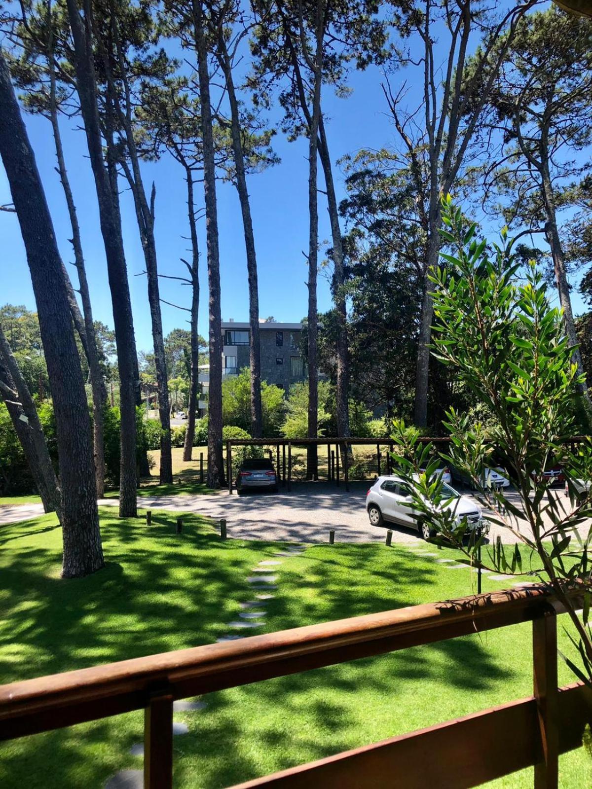 Les Pins , Av Pedragosa Sierra P Del Este , 2 dormitorios