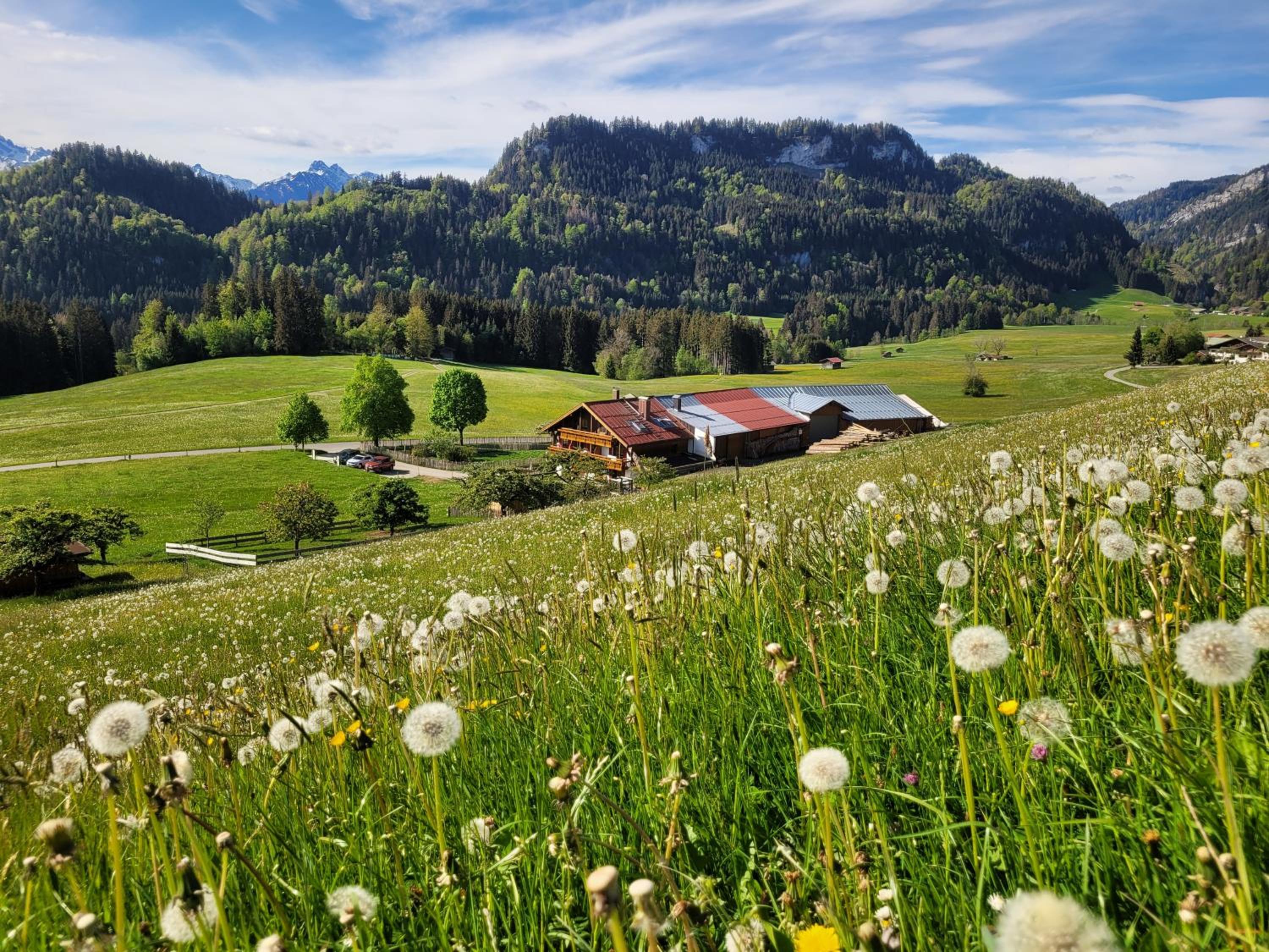 Naturgut Allgäu