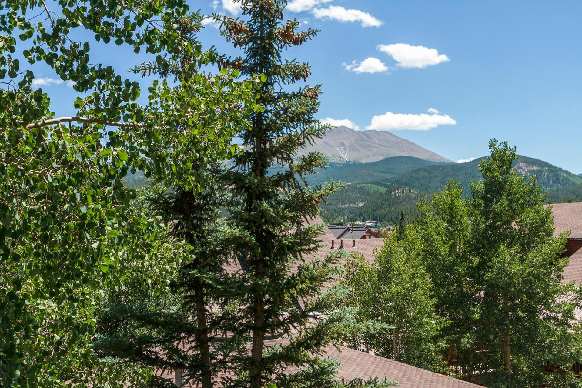 Tyra Aspen 8 by Great Western Lodging view 2