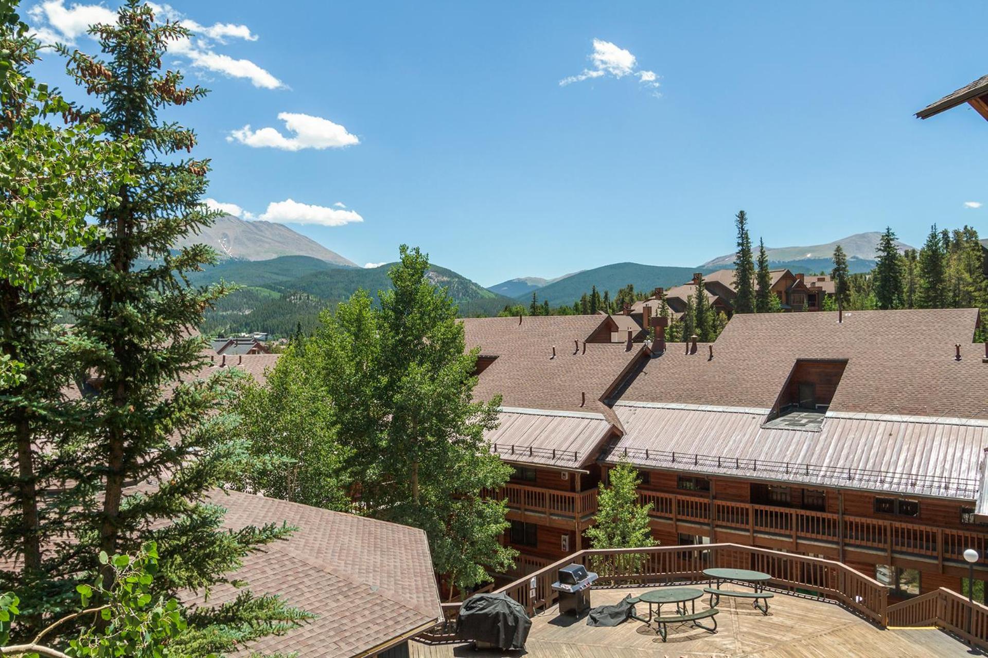 Tyra Aspen 8 by Great Western Lodging view 4
