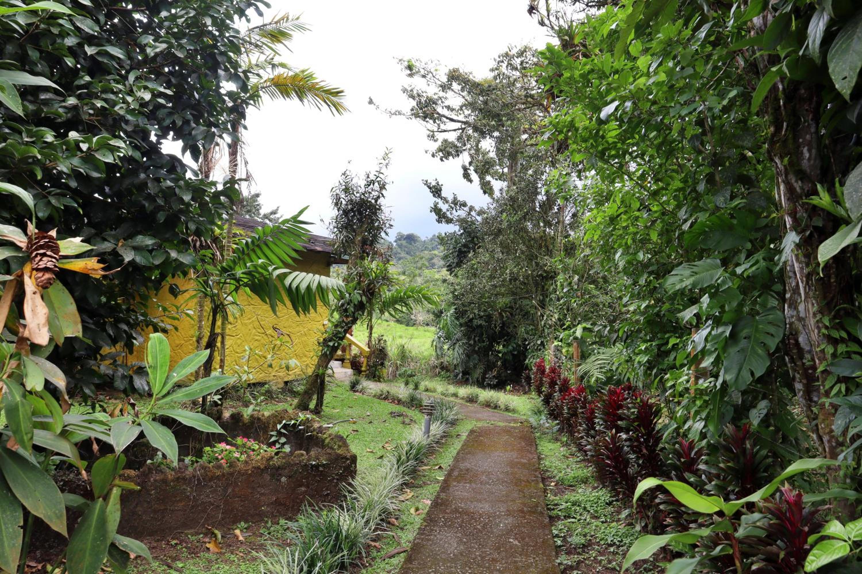 Cabina Vista Al Volcan Arenal