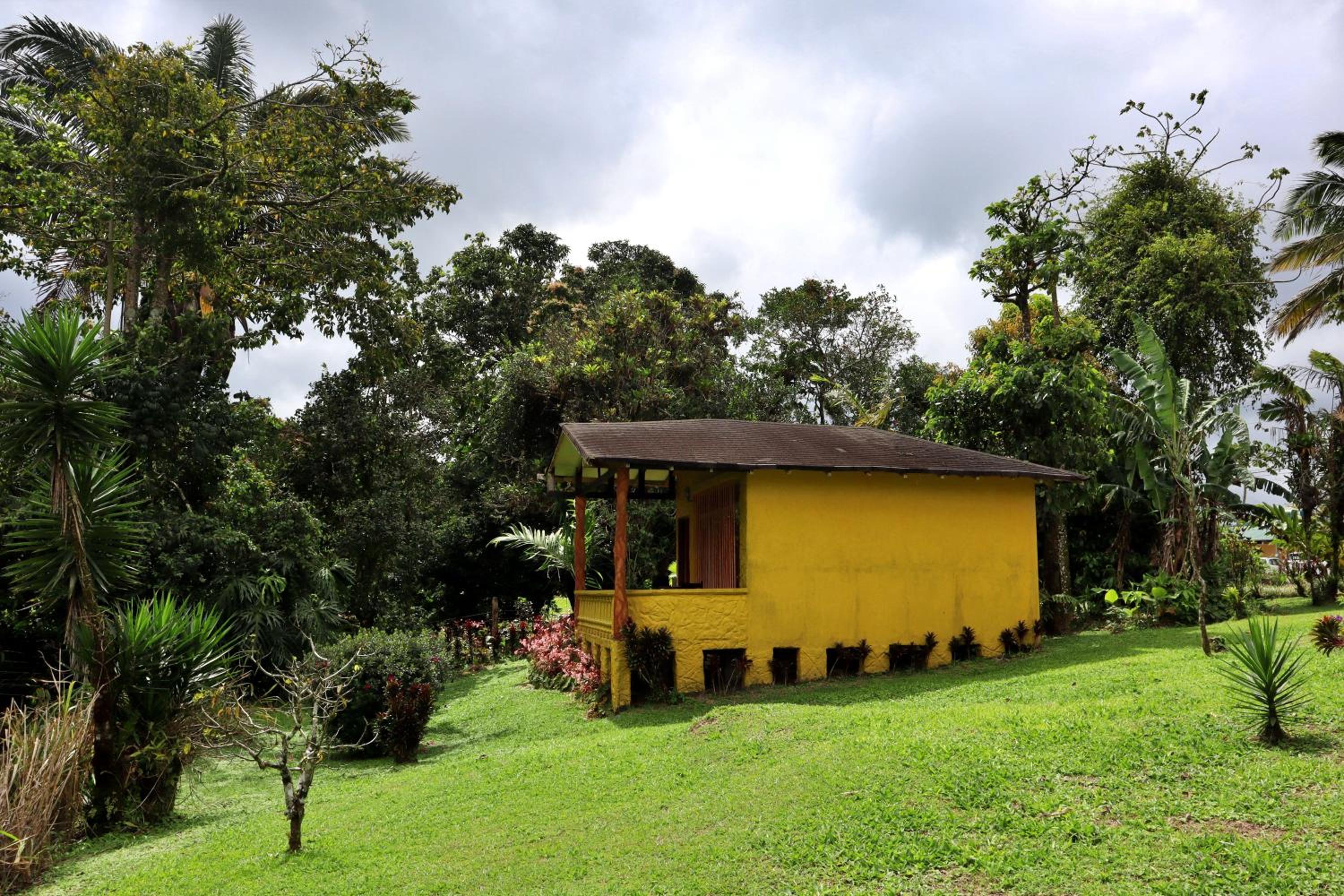 Cabina Vista Al Volcan Arenal
