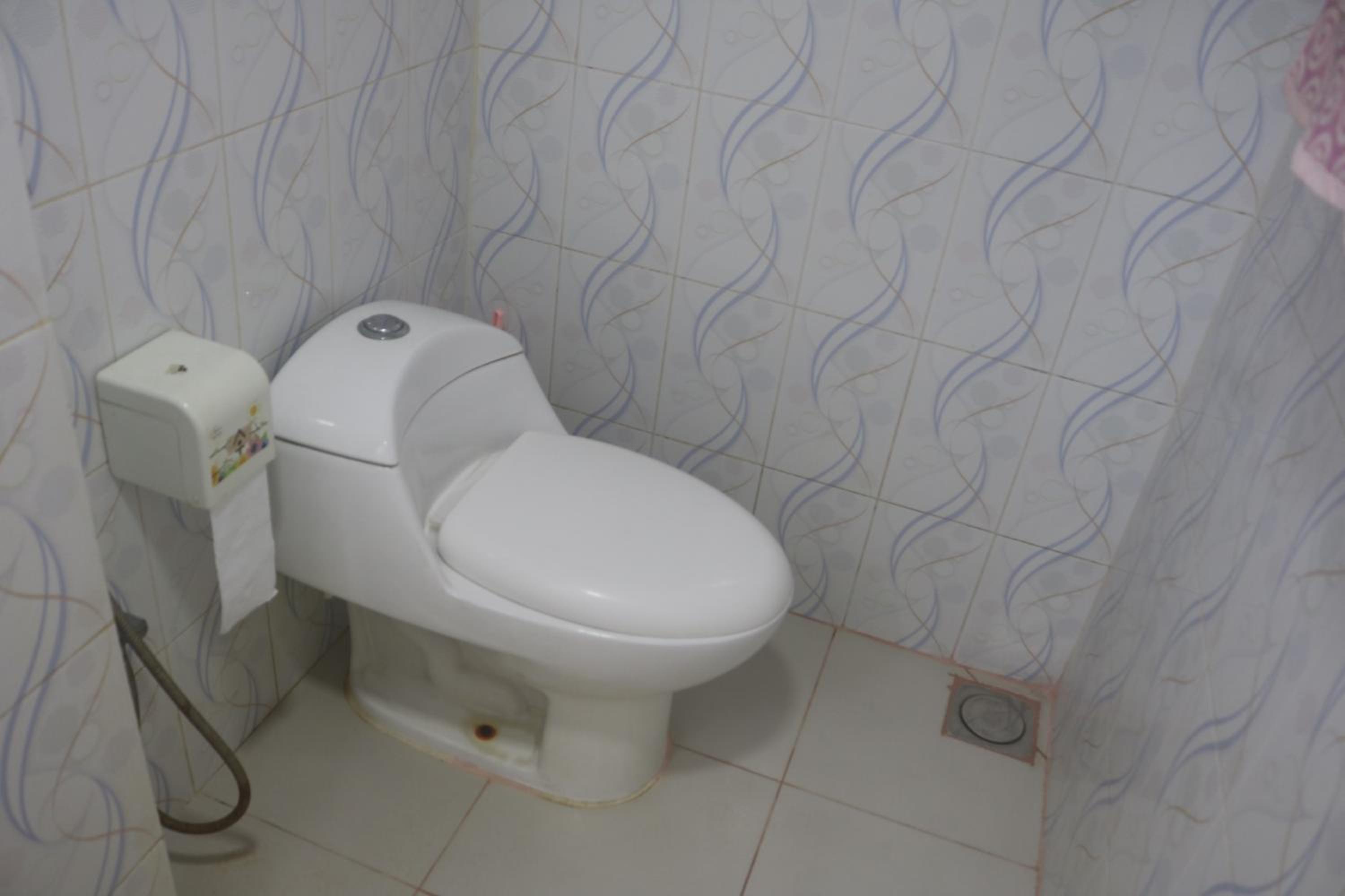 Private Furnished Penthouse Apartment With Rooftop Garden In Chittagong