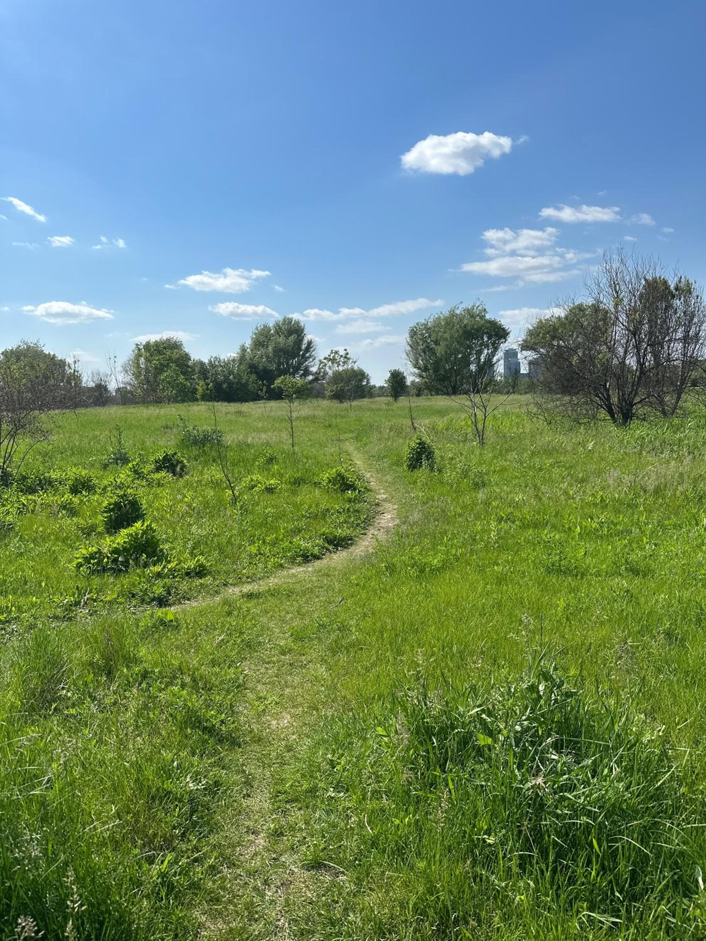 Photo 31