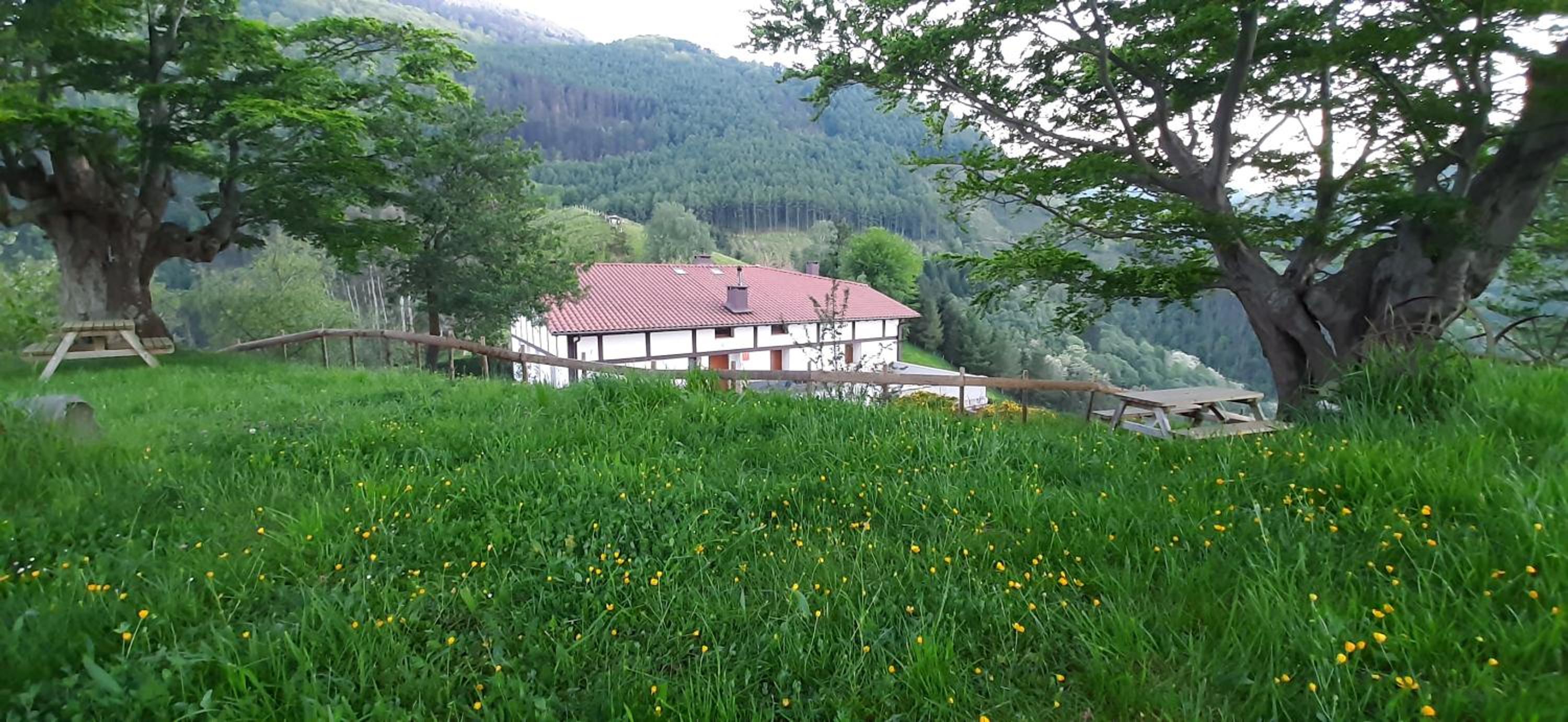 building