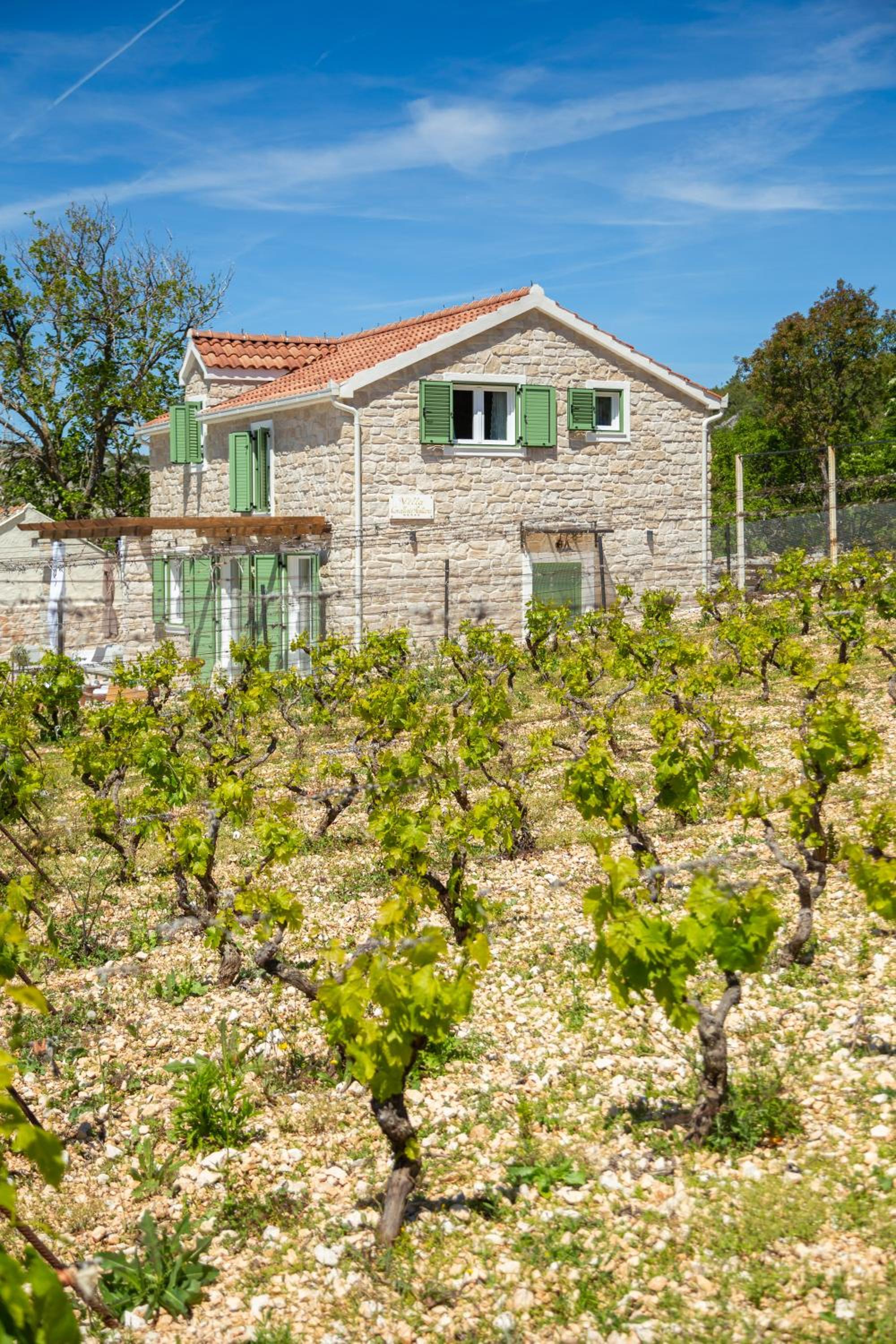 Villa Cavalleria Rusticana mit beheiztem Pool und Weinberg — photo 4