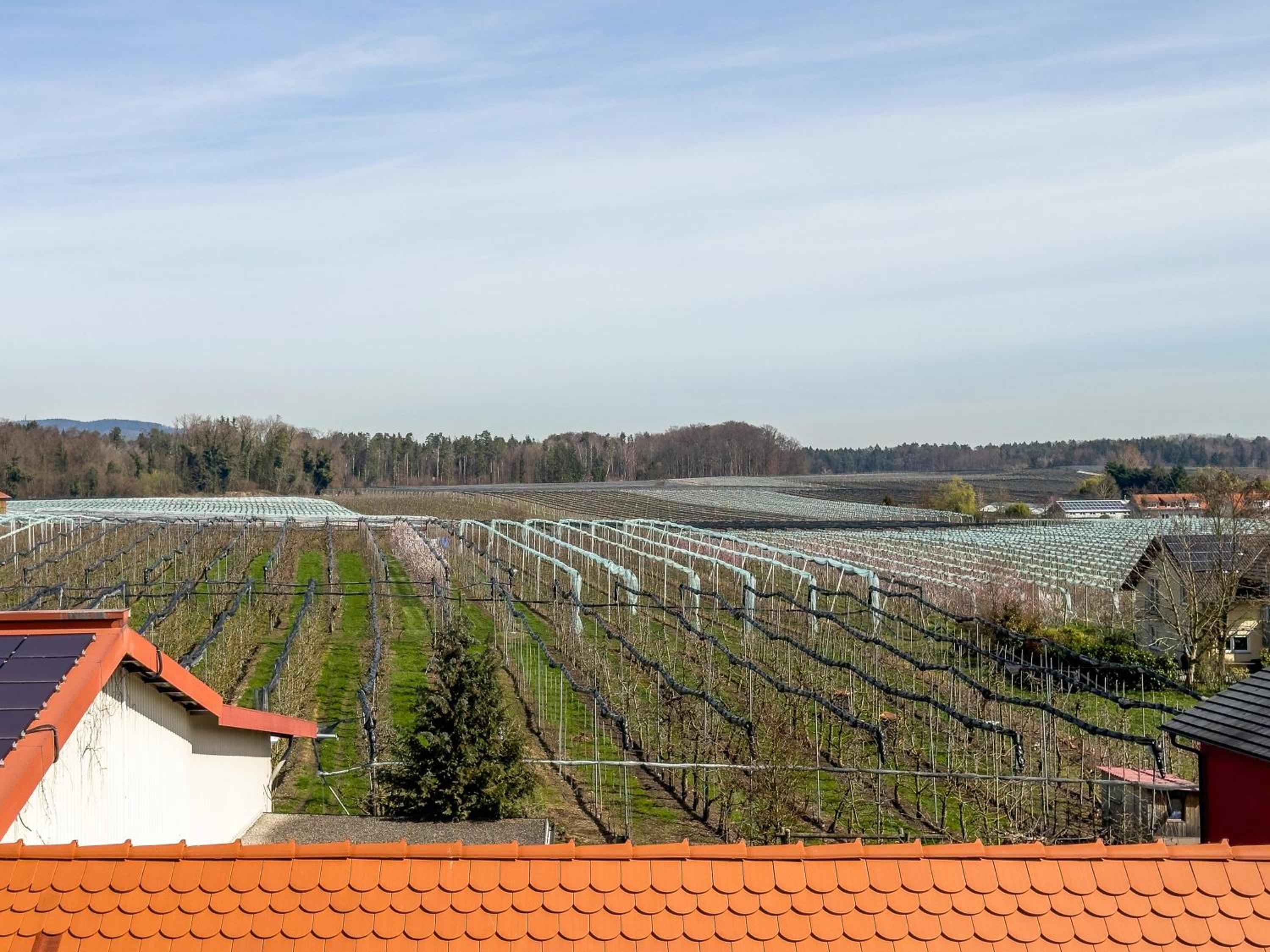 Obst- Ferienhof Ragg