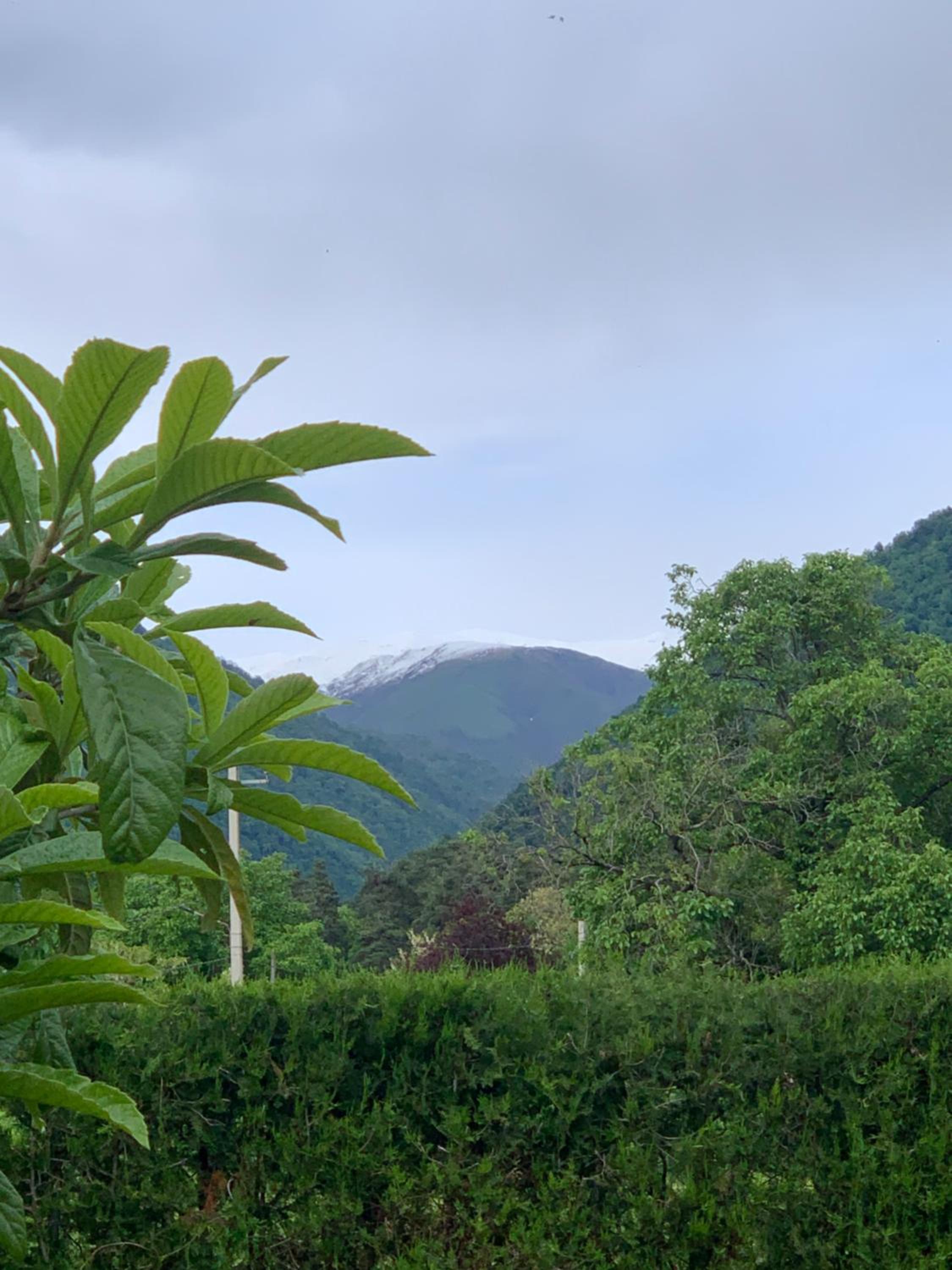 Green House view 2