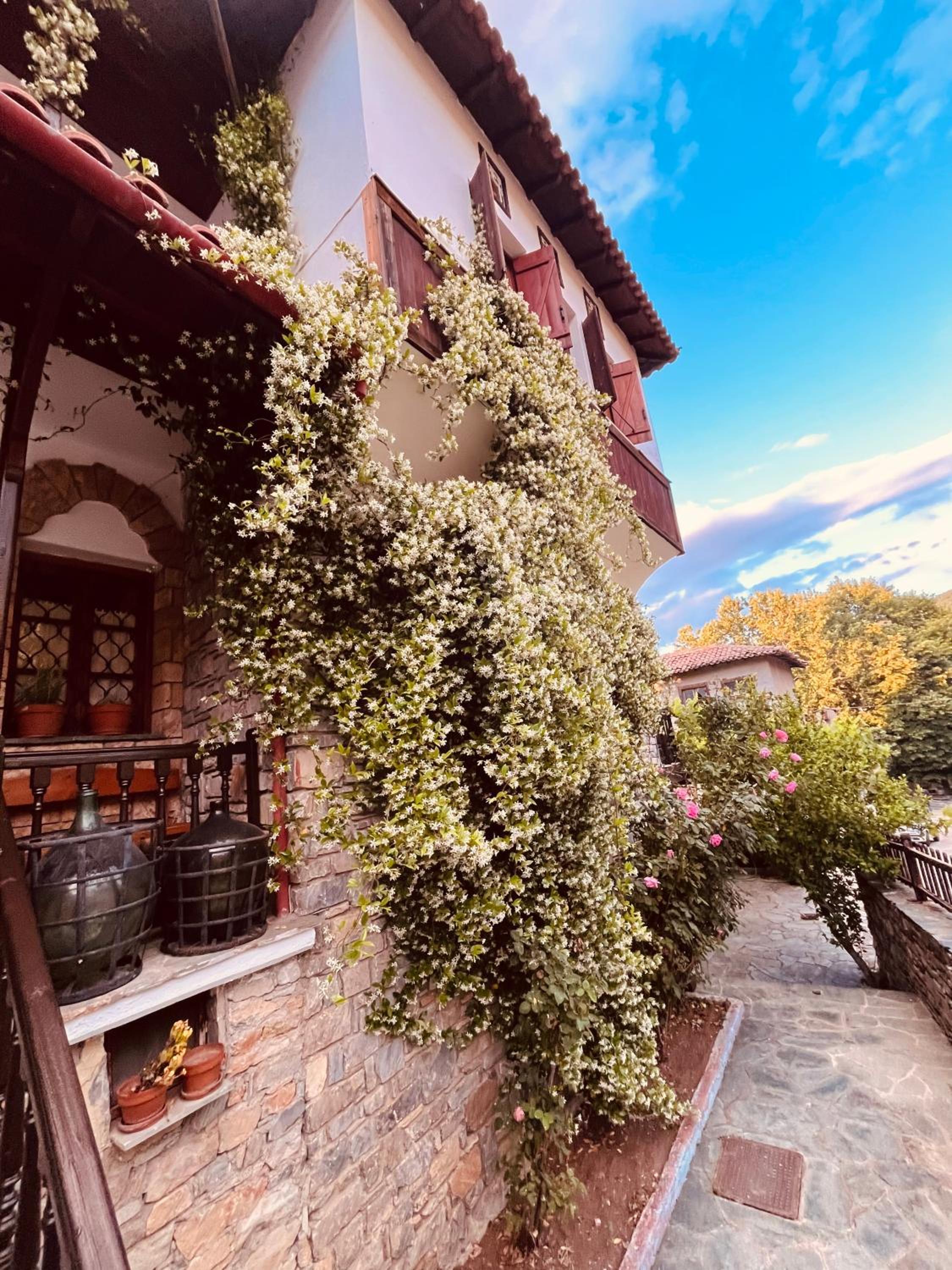 9mouses Chasiotis Guest House view 5