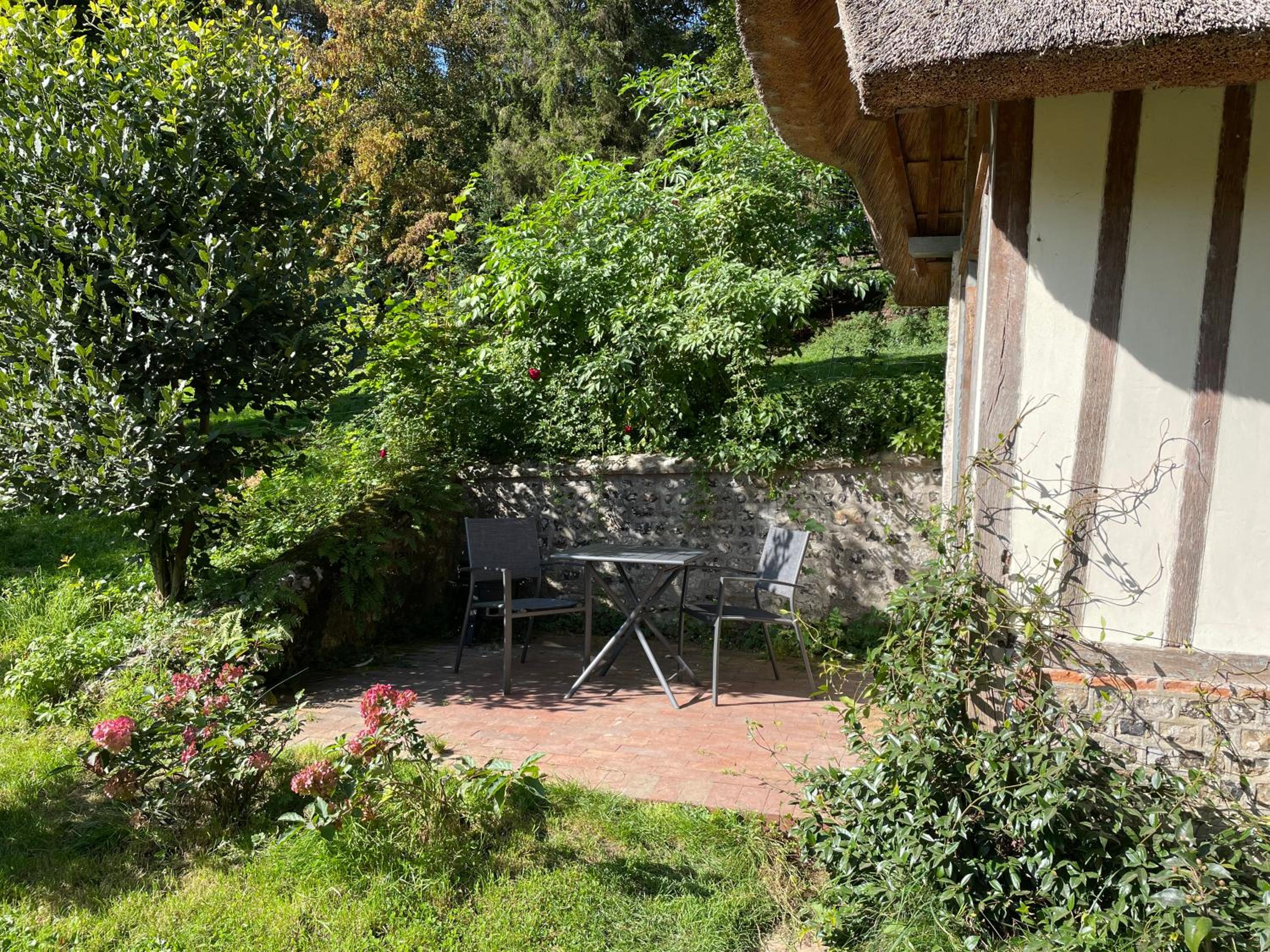 Photo 46