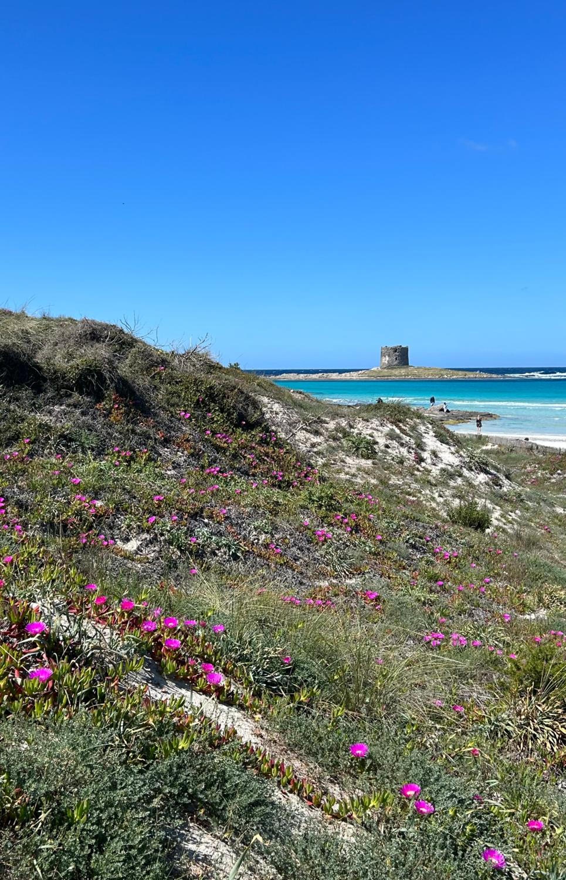 other
