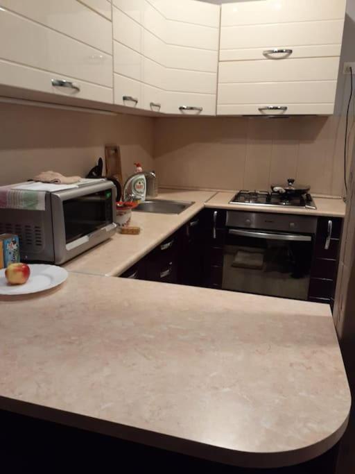 Spacious 1bedroom apartment, w free parking, w pet view 4