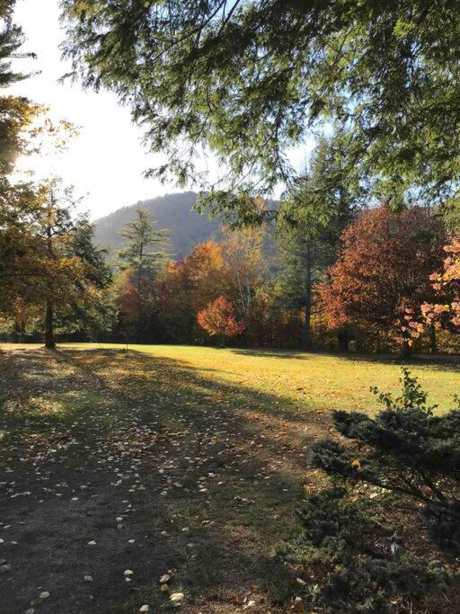Adirondack Retreat! view 5