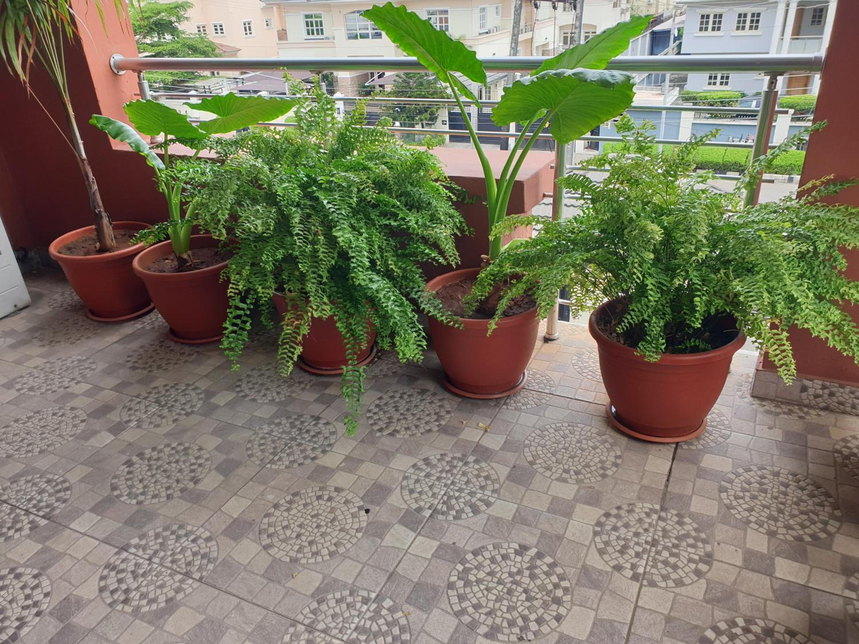 Oasis in the City. Victoria Island serviced apt. view 4