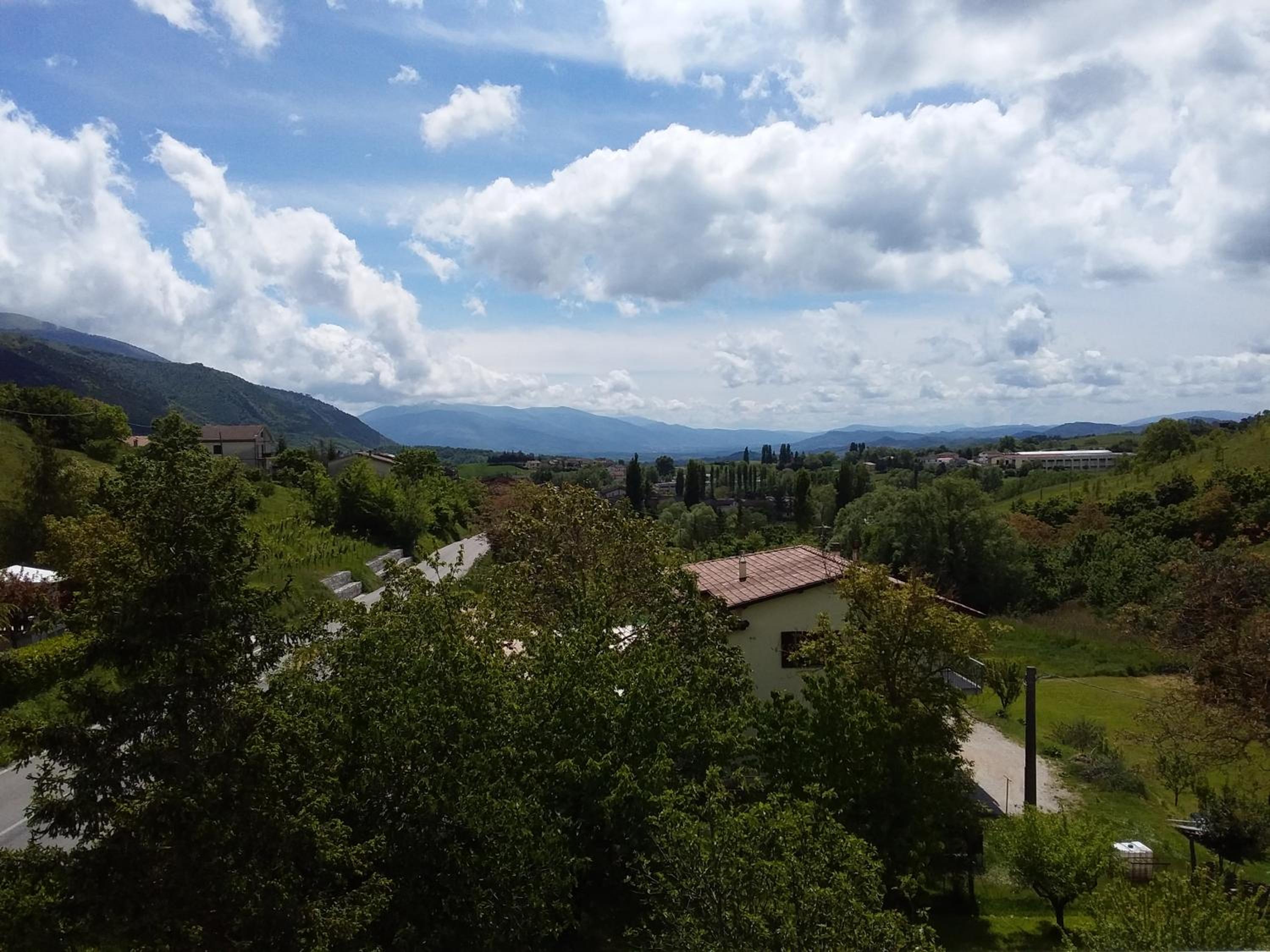 Photo 29