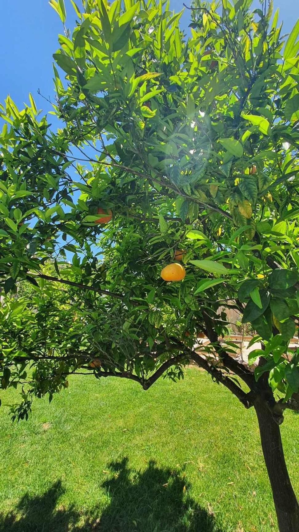 Villa Anasa Residence view 5
