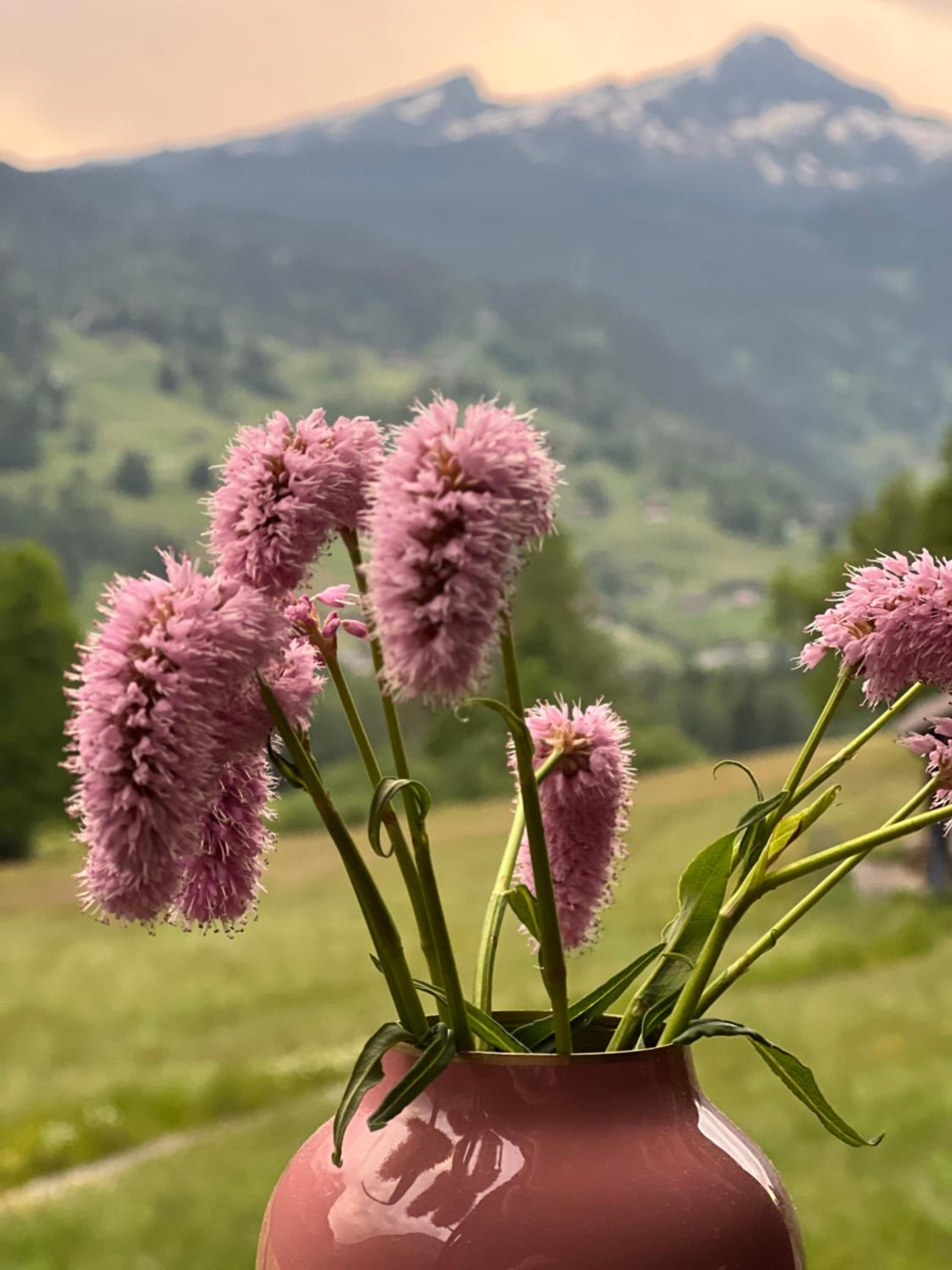 Velvet Eiger