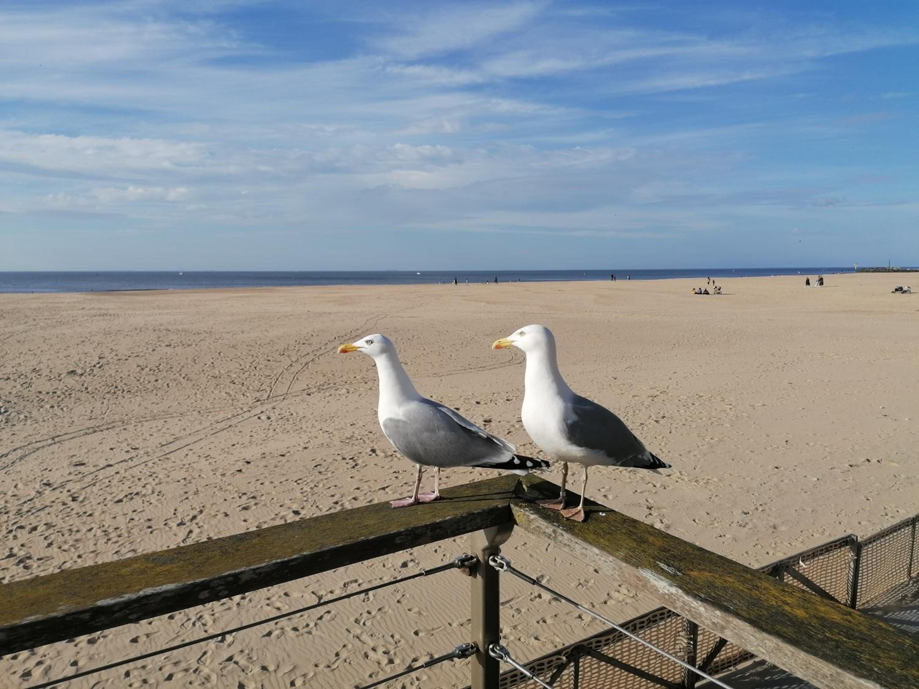 WeLoveOostende - Newly renovated large apartment 150m from the beach - Including bed sheets and final clea-ning