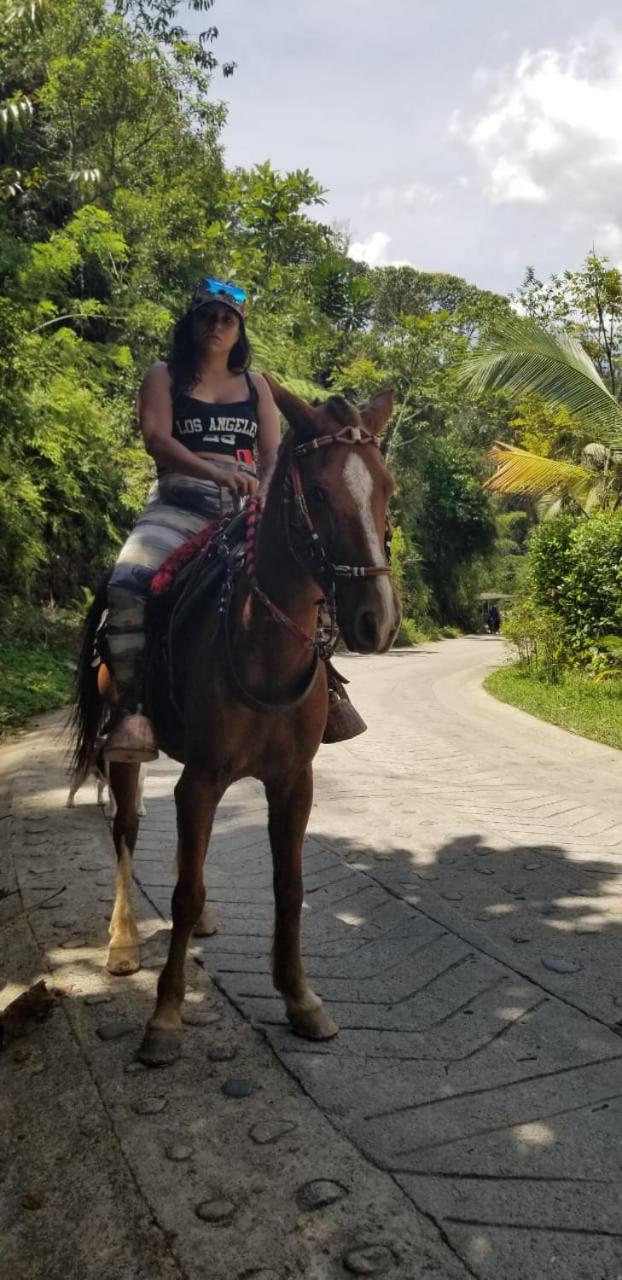 ecofinca la soñada