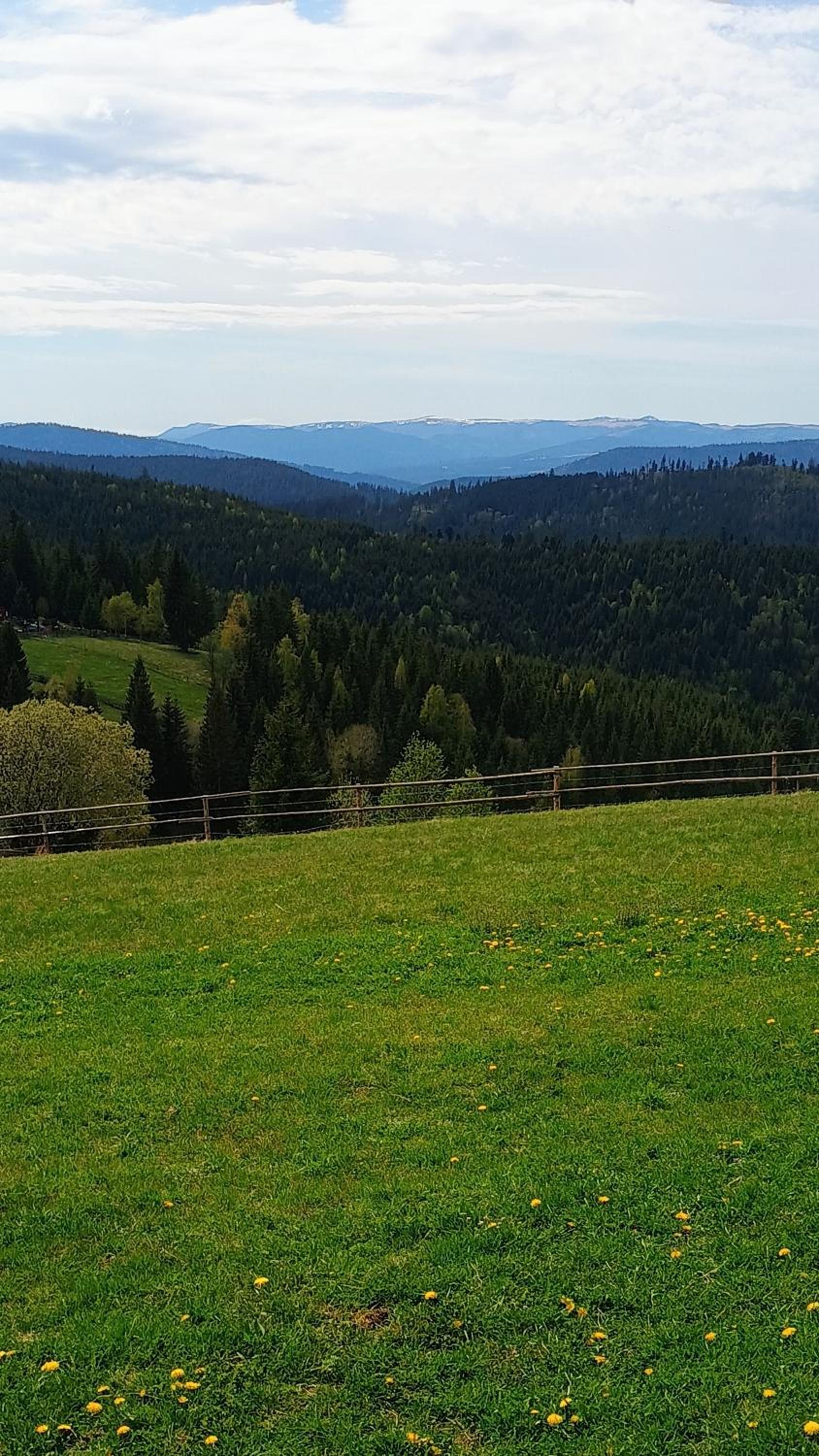 Tiny House Casuta Schiorului 2, Mărișel Apuseni view 5