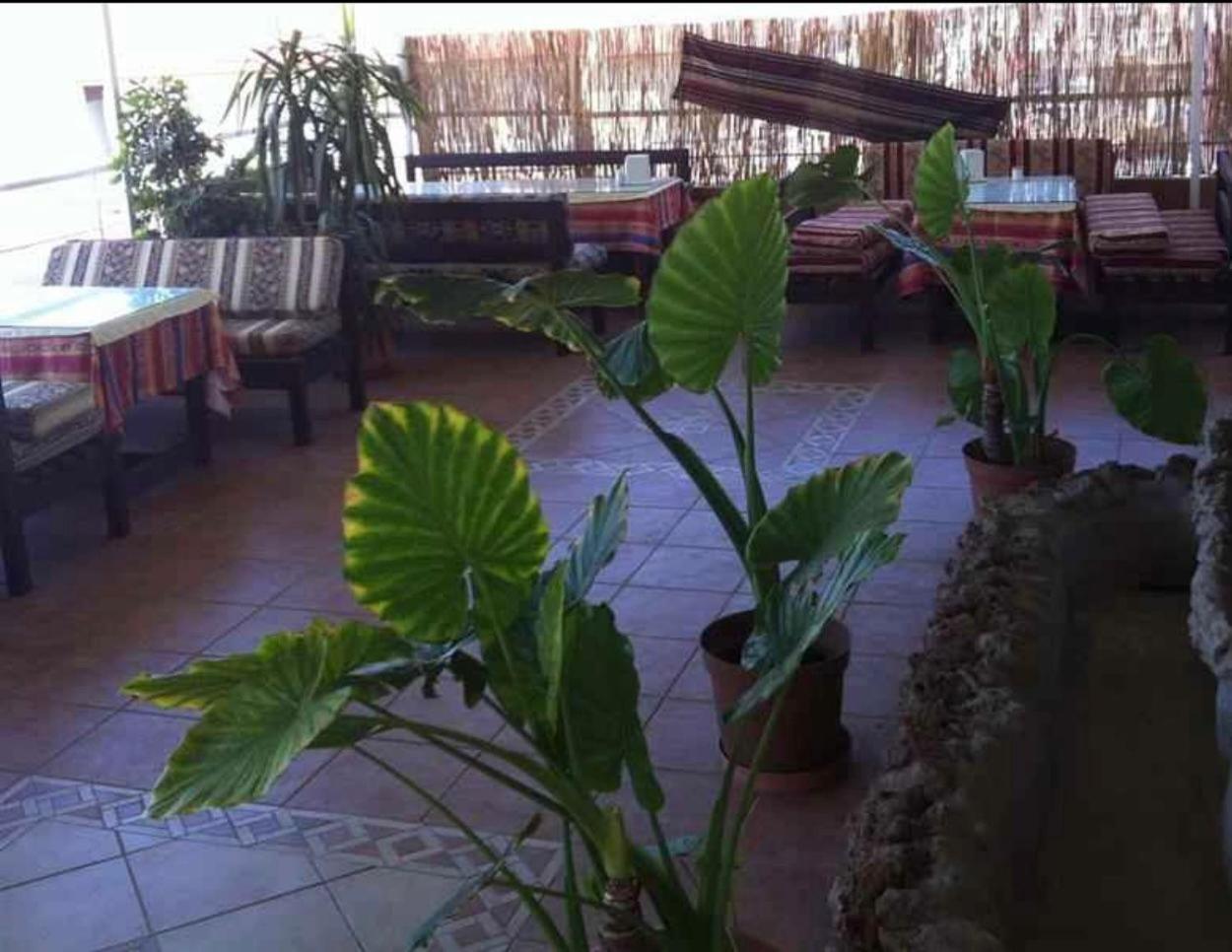 Denizhan Otel - Image 49