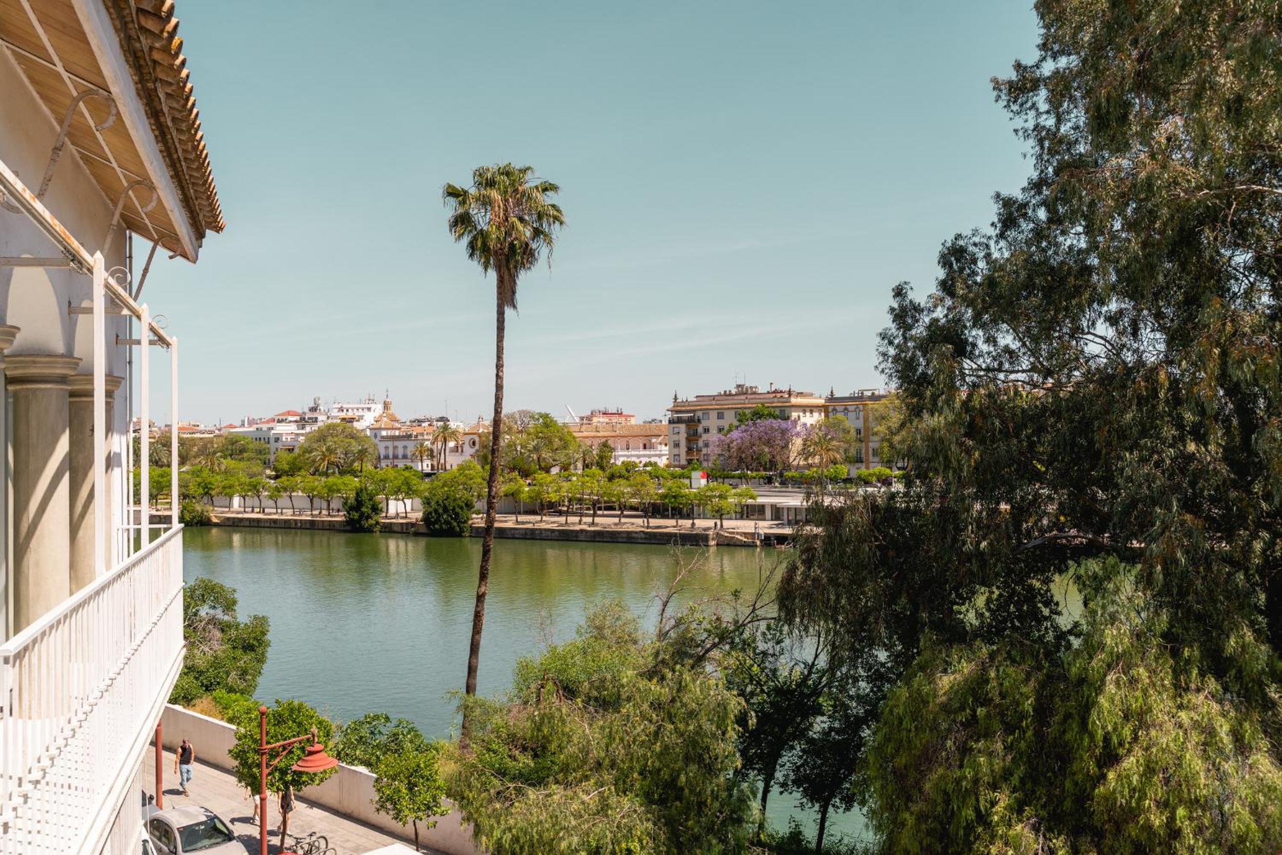 Betis River View photo 3