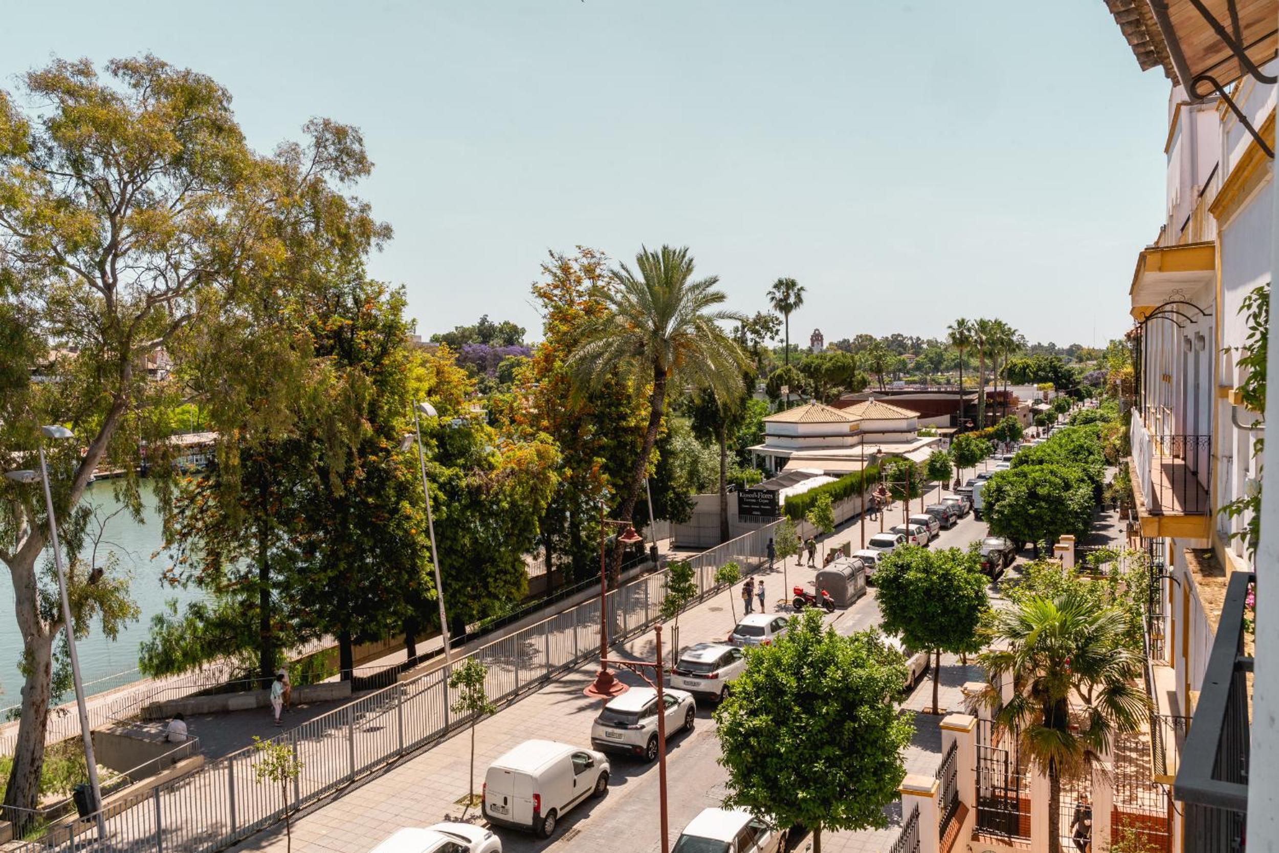 Betis River View